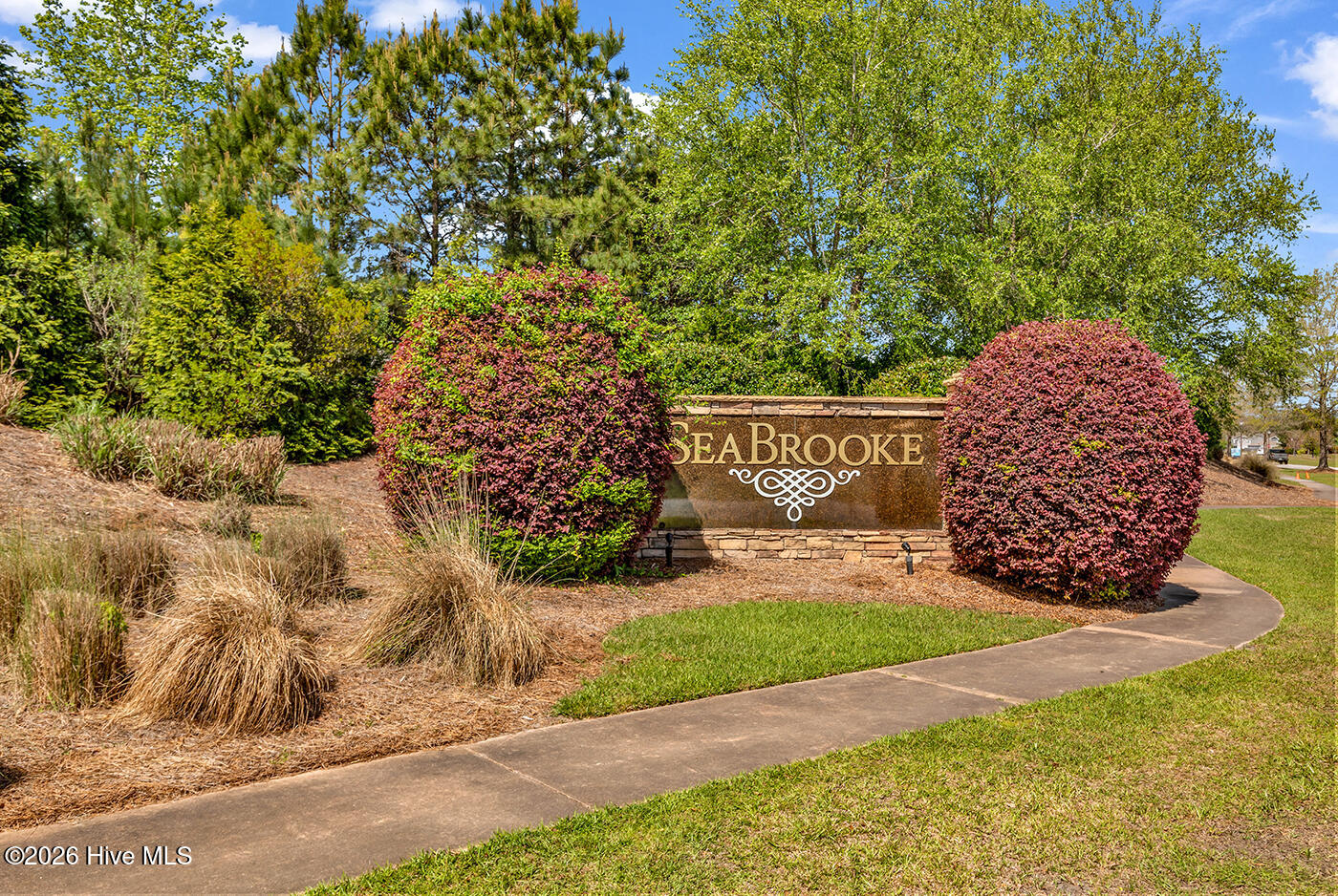 100566438 | Photo 45