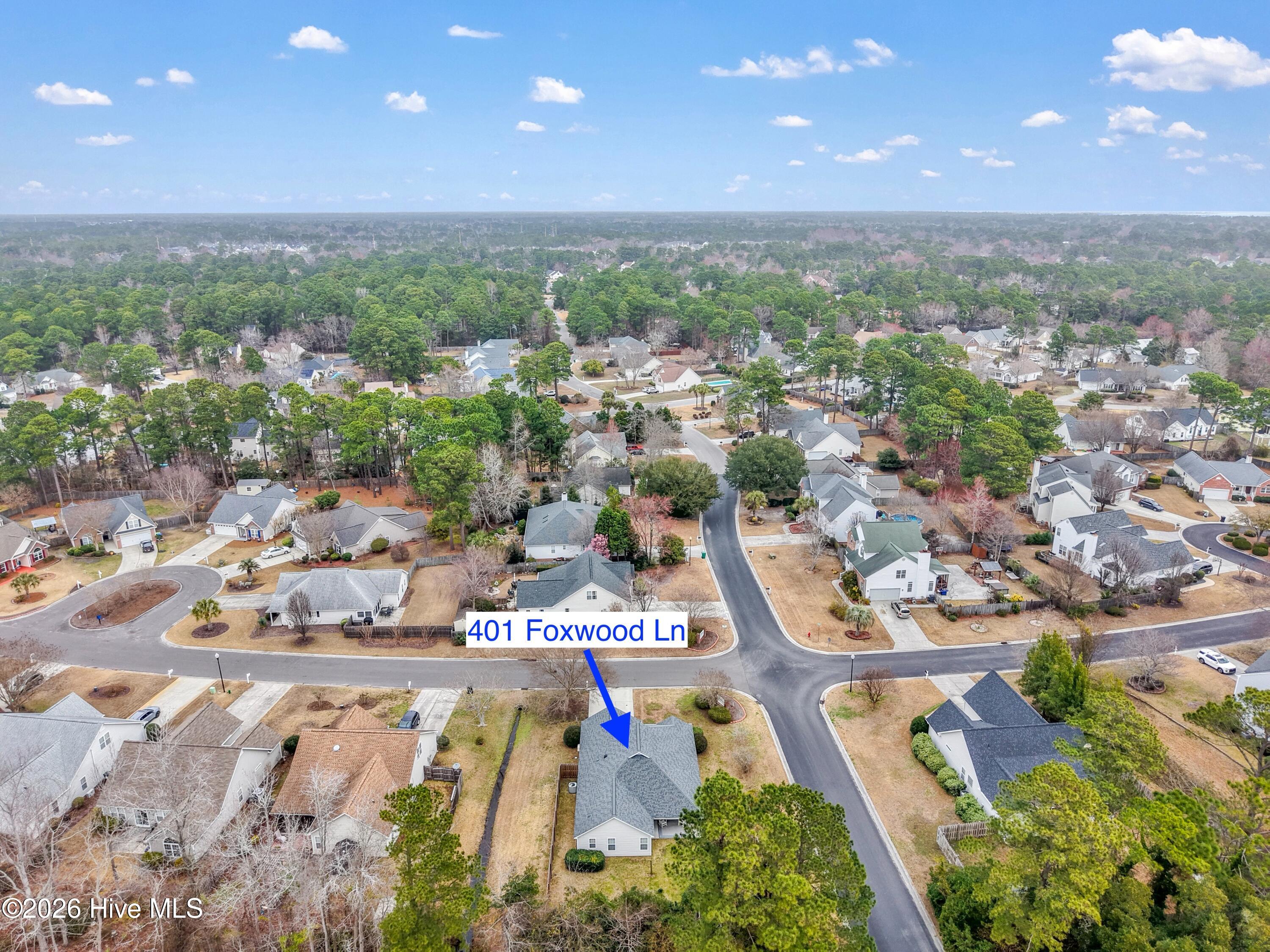 100558212 | Photo 43