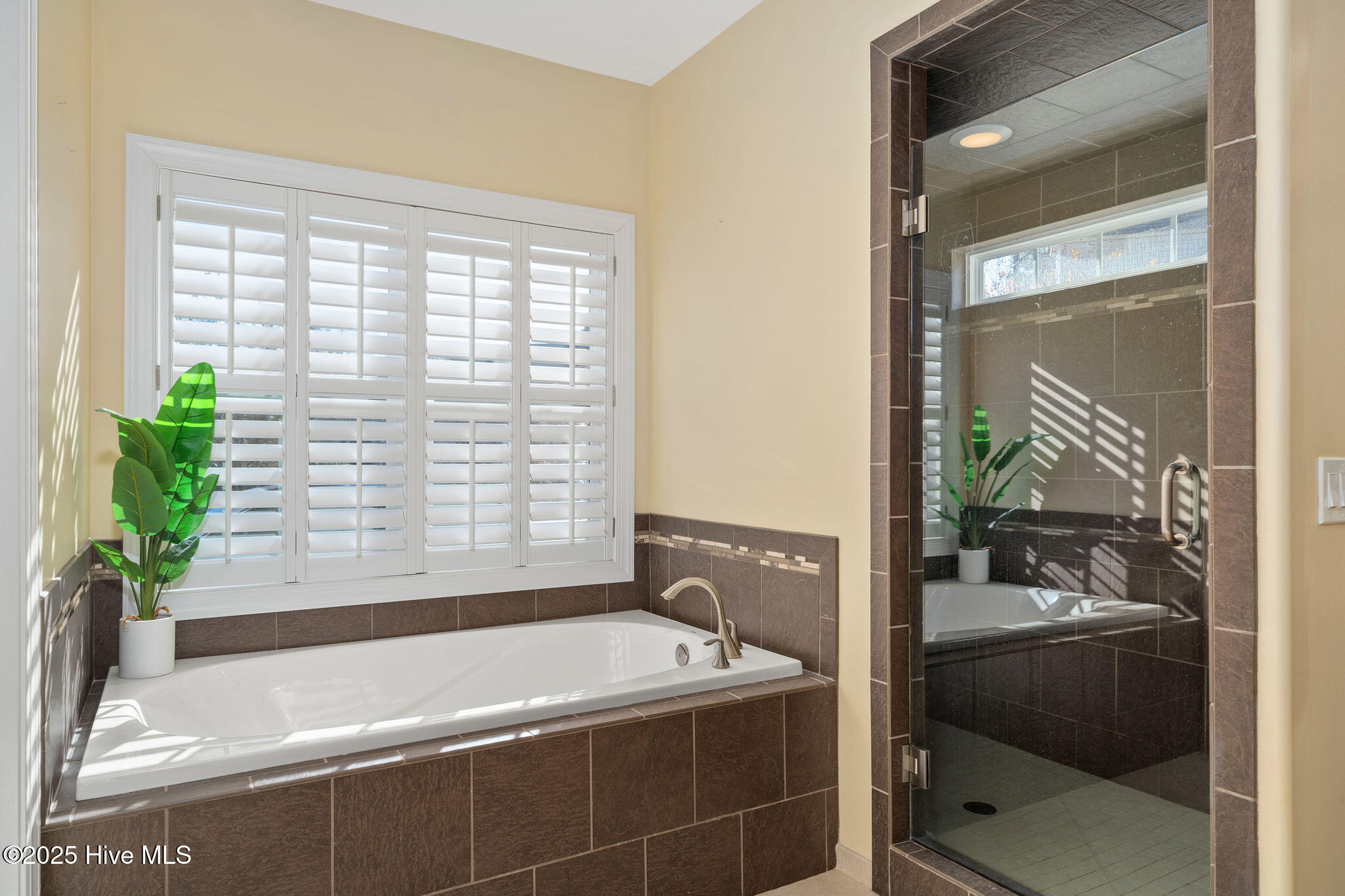 100542453 | Photo 19