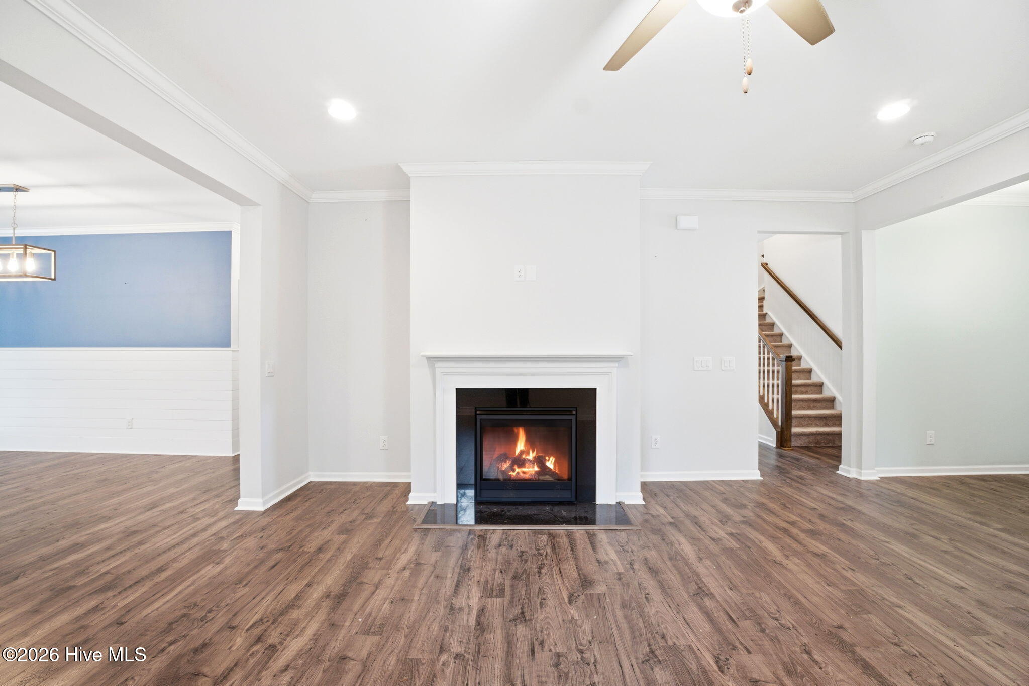 100558607 | Photo 11