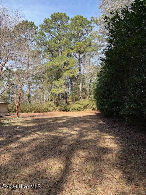 100553362 | Photo 38