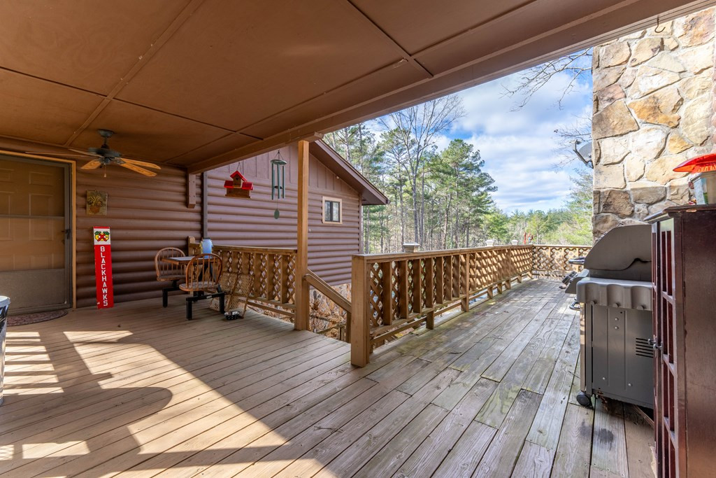 300 Sandy Gap Road, Murphy, NC 28906 Listing Photo  13