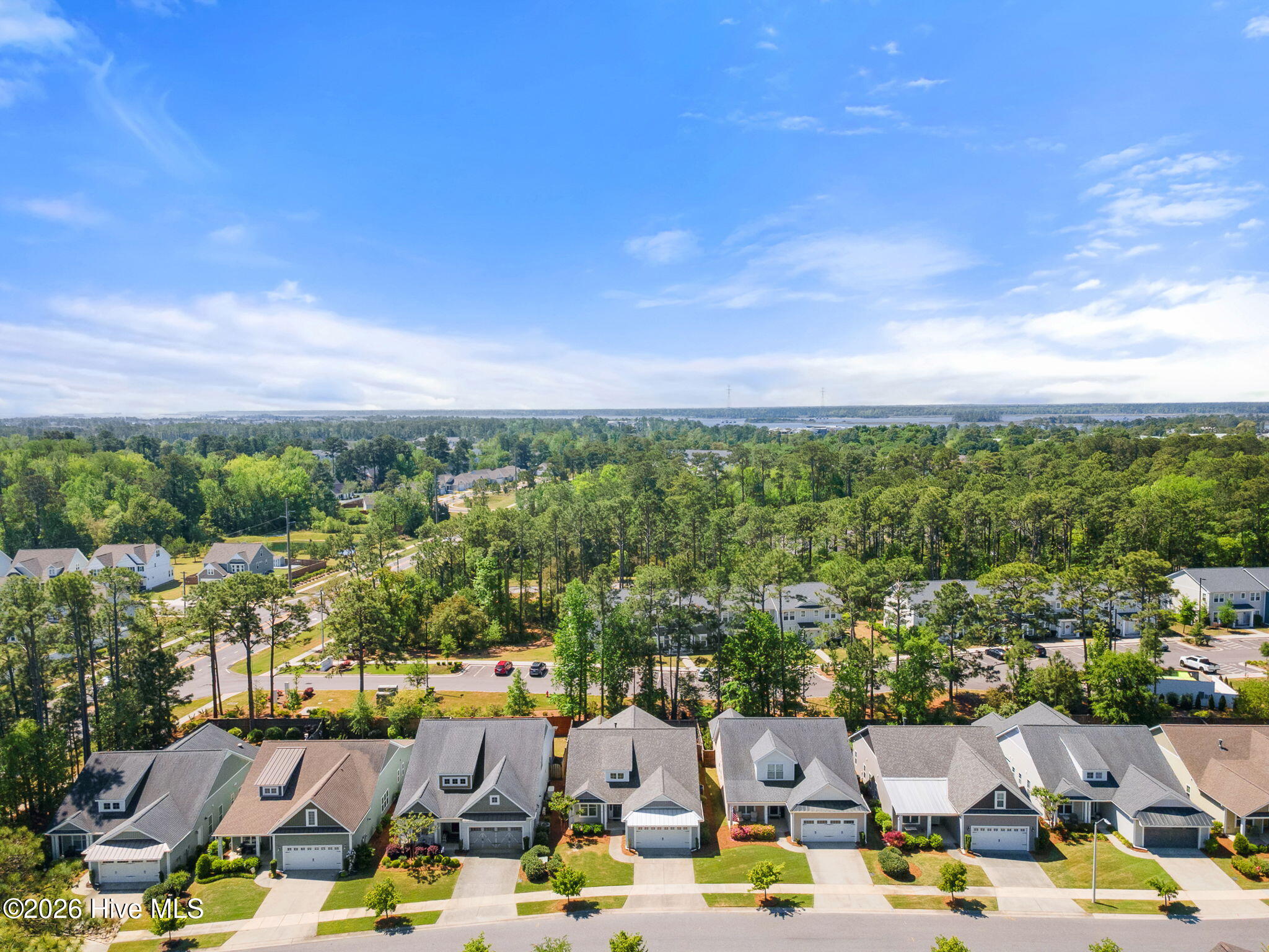 100567519 | Photo 45