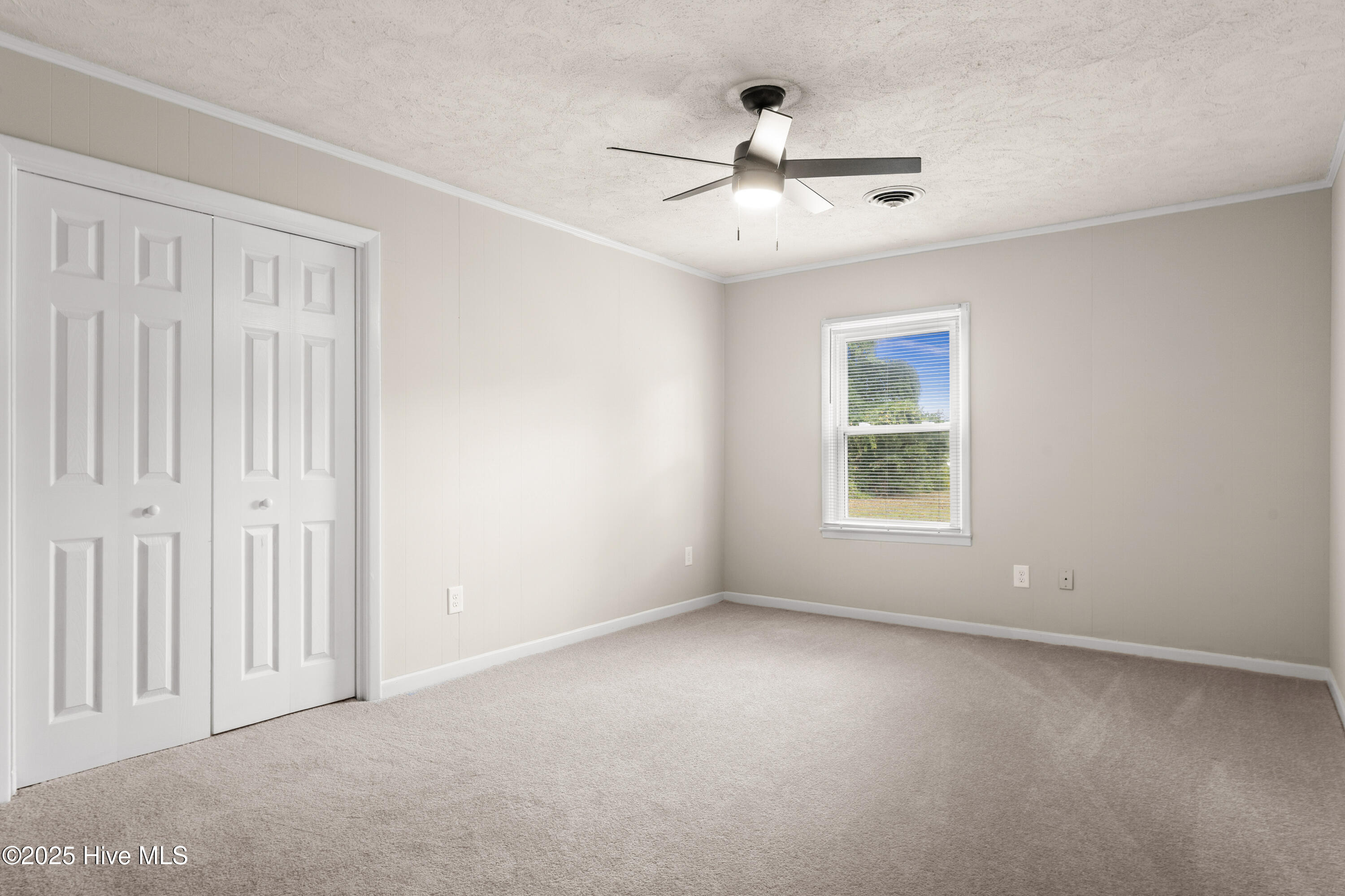 114 W Murphy Street, Wallace, NC 28466 – photo 6: 61-DSC00596