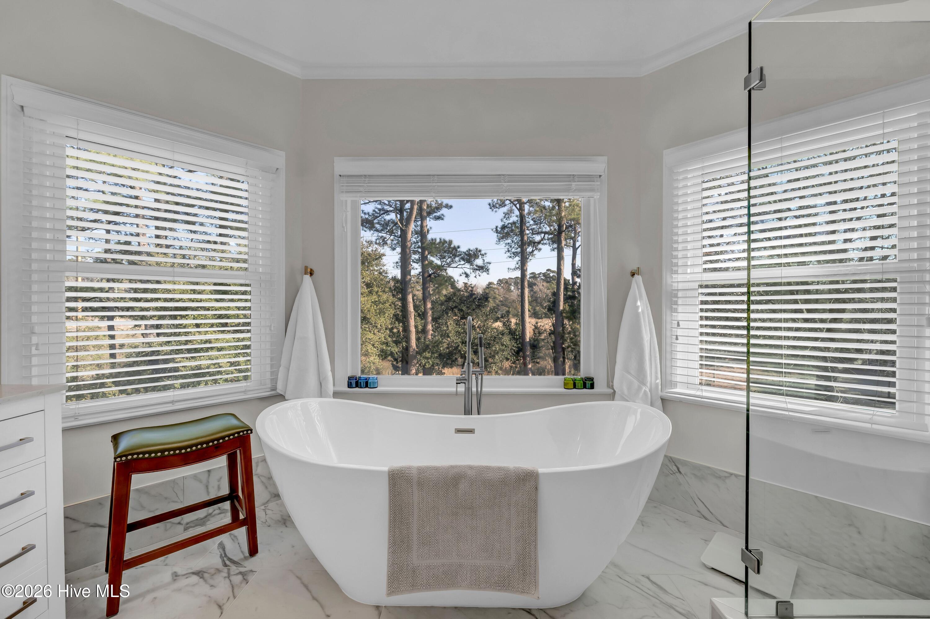 100554462 | Photo 34