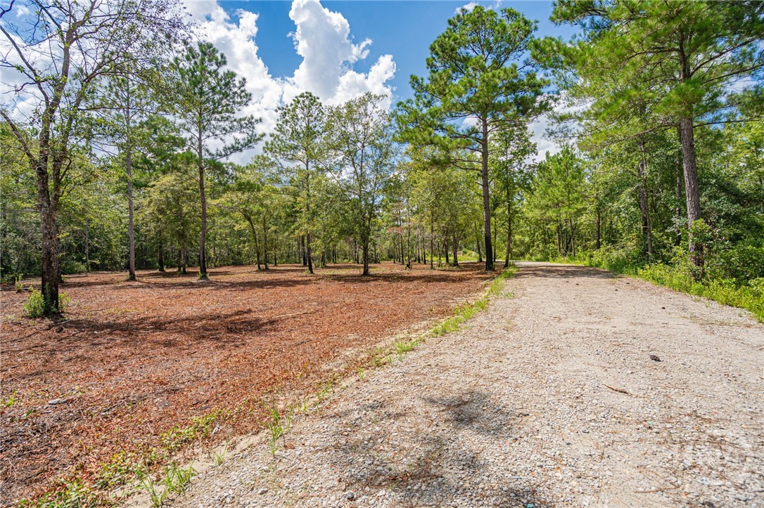 Homes for sale in Guyton, GA | 0 Fourth Ext, Guyton, GA 31312 | MLS# SA335231