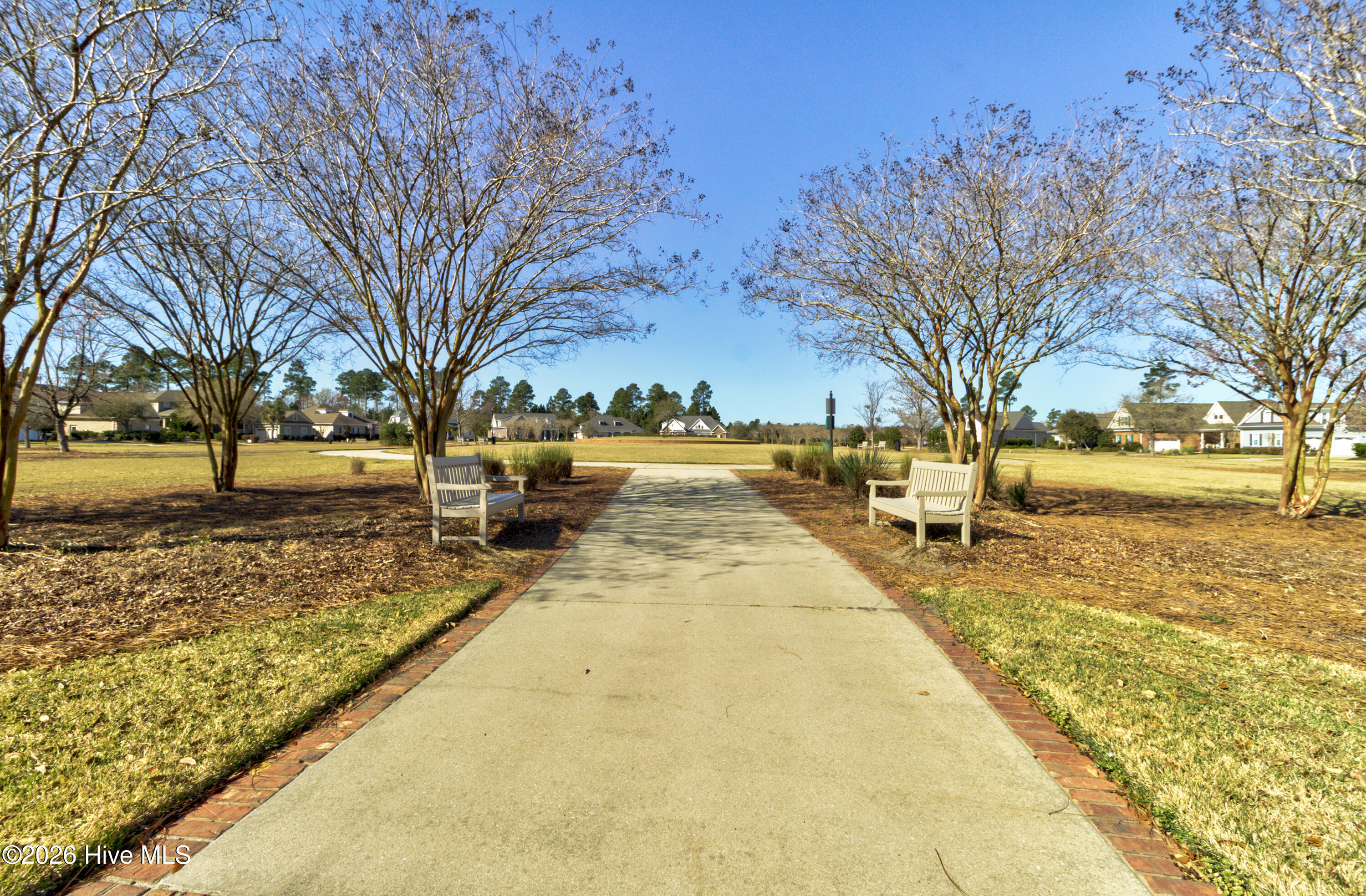 100577813 | Photo 55