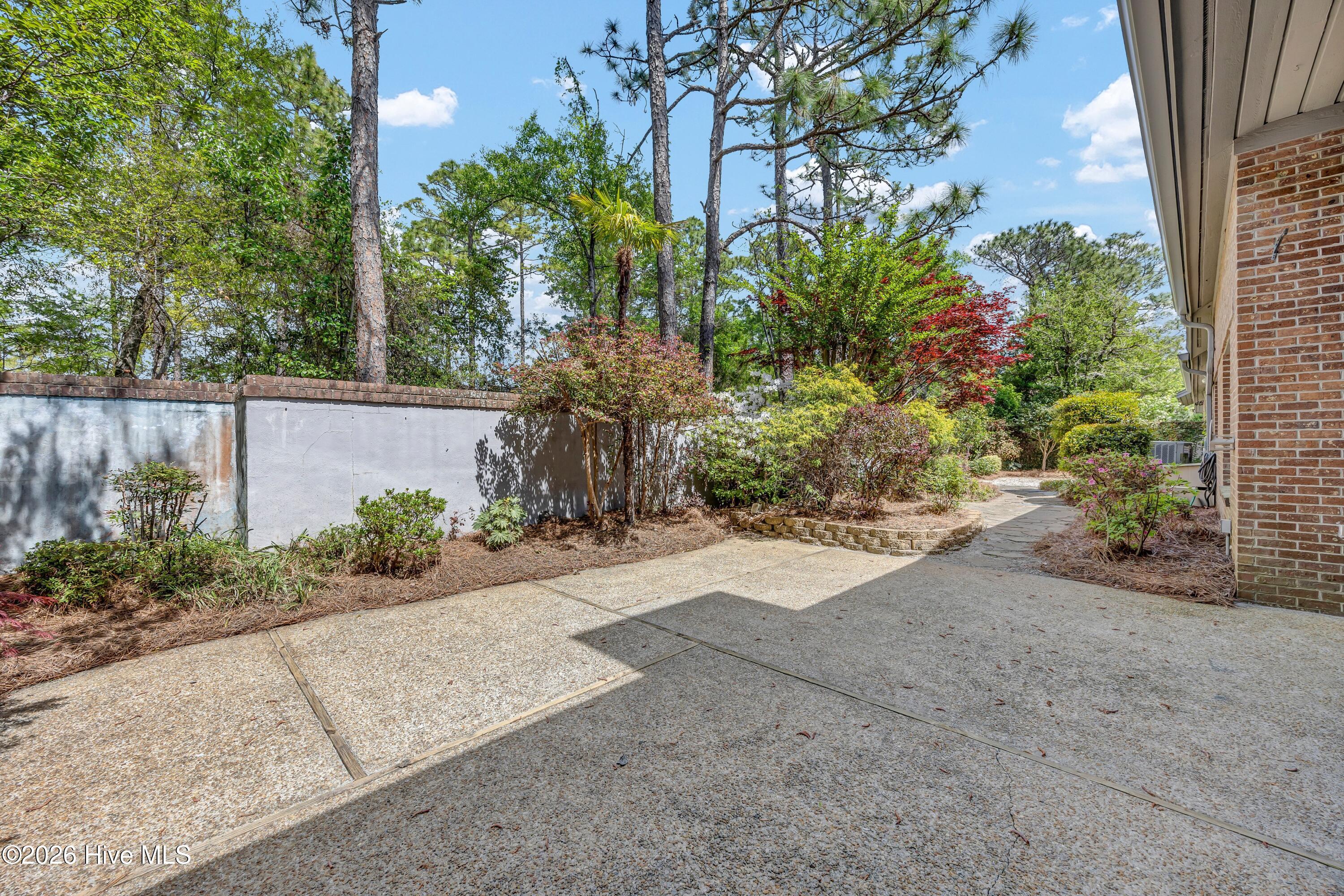 100566682 | Photo 11