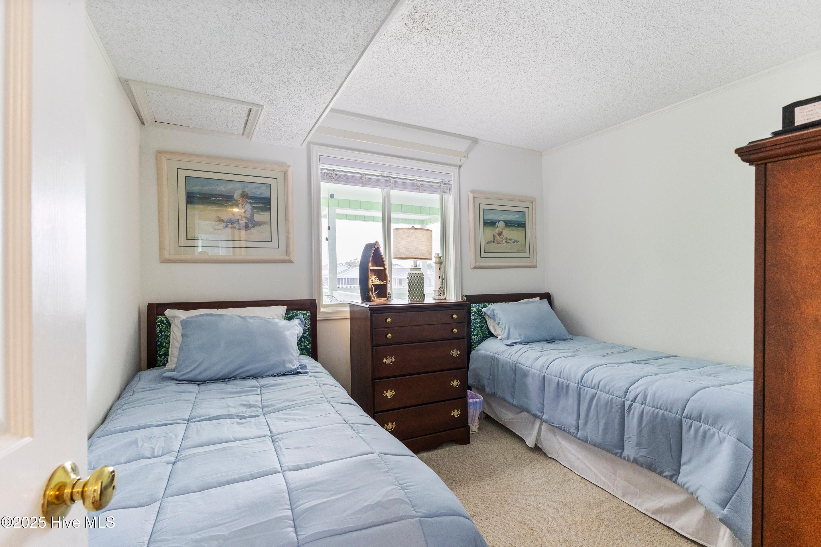 100535531 | Photo 31