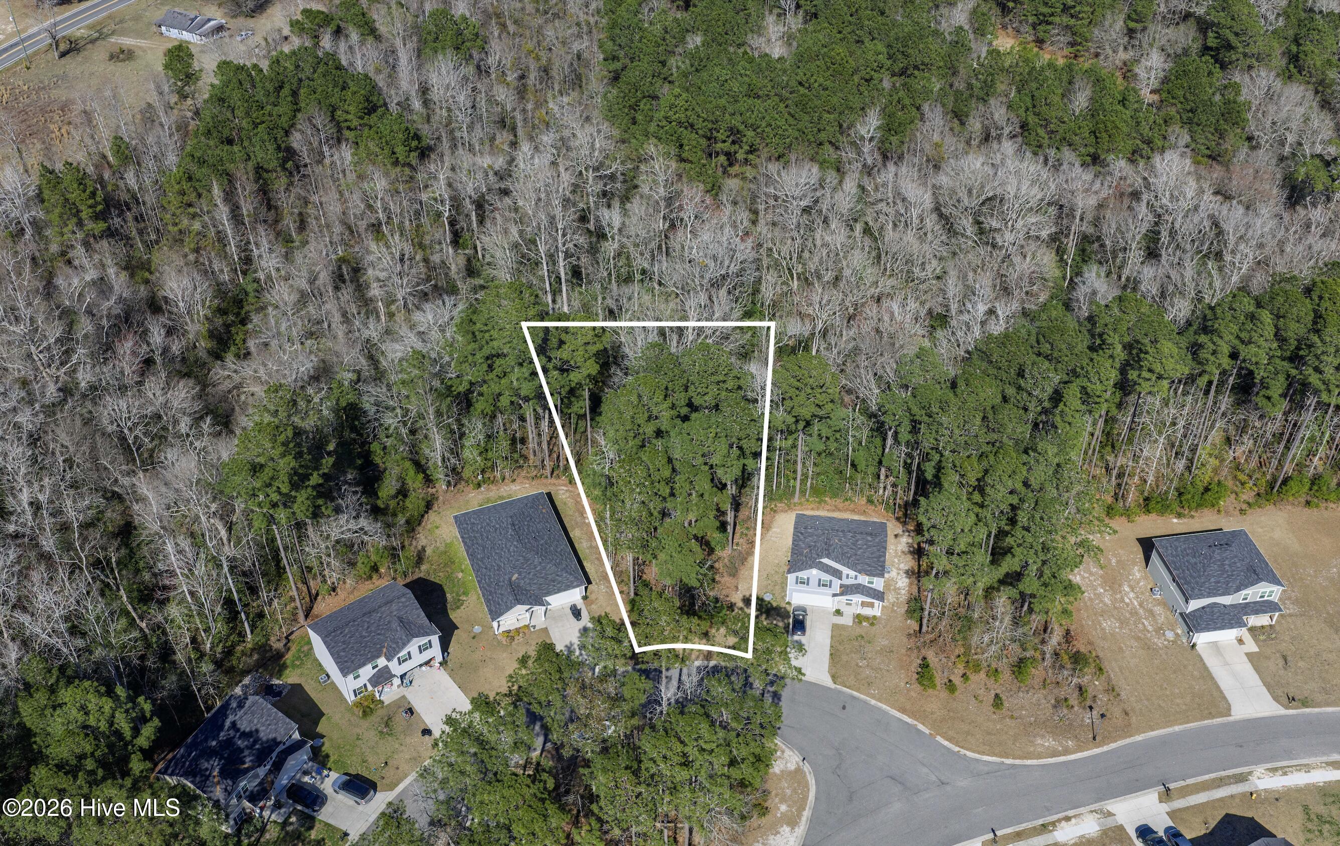 100559015 | Photo 10