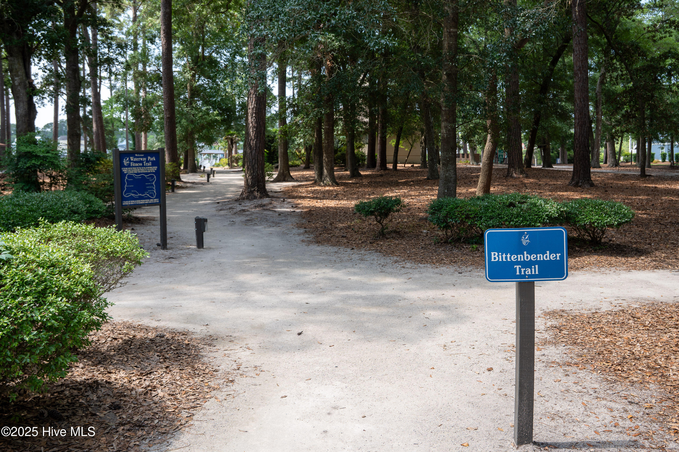 100541746 | Photo 67