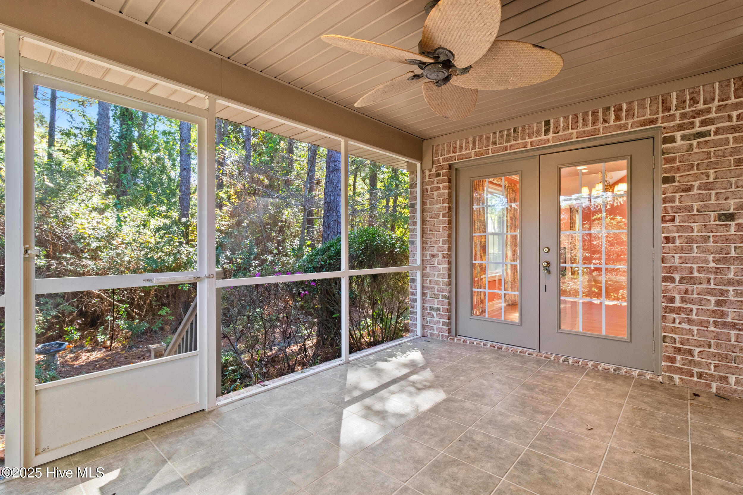 100539143 | Photo 30