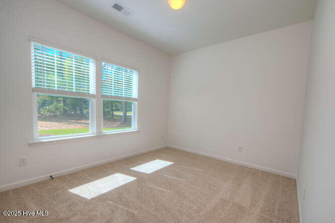 100527327 | Photo 11