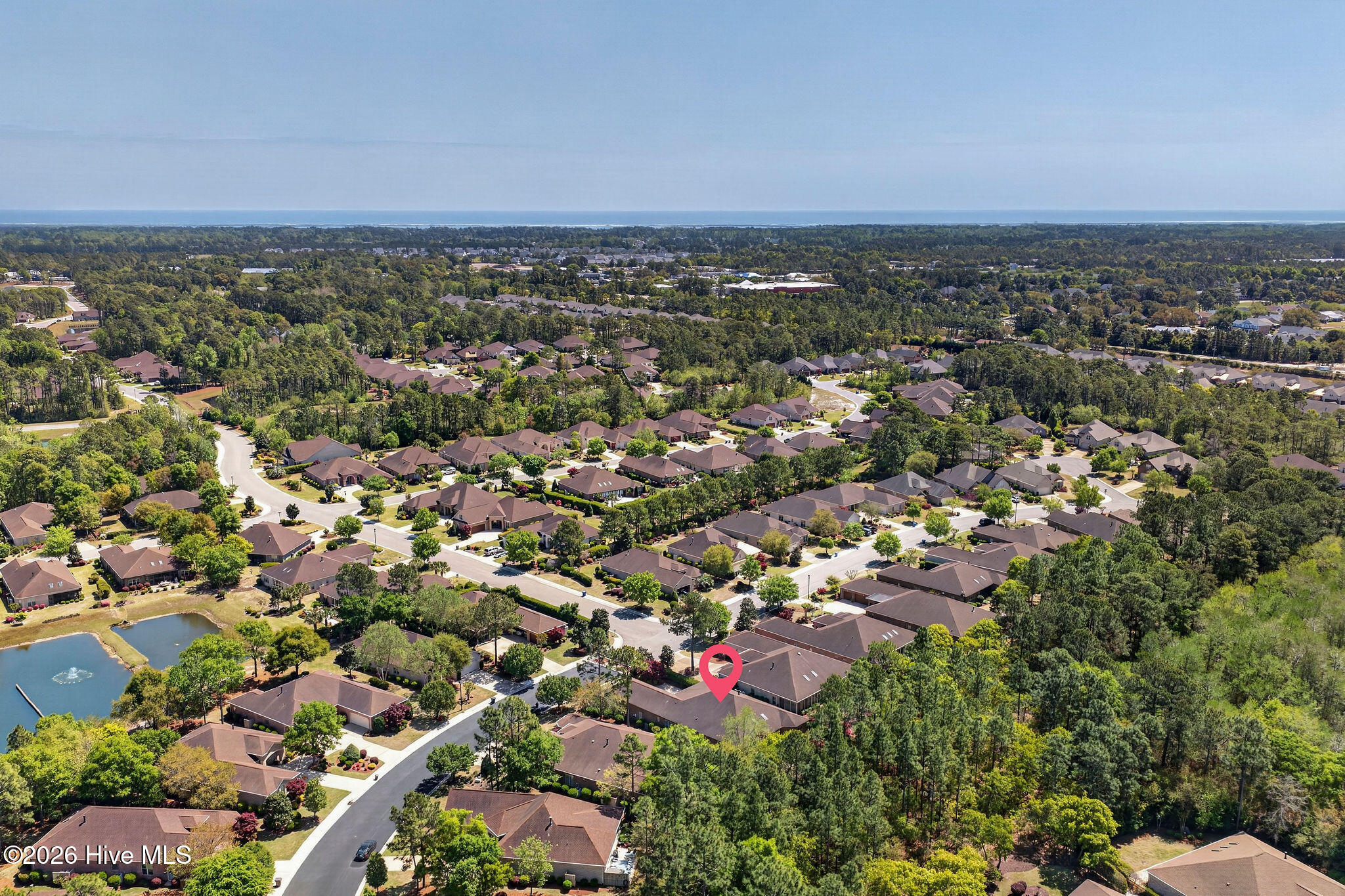 100566278 | Photo 44