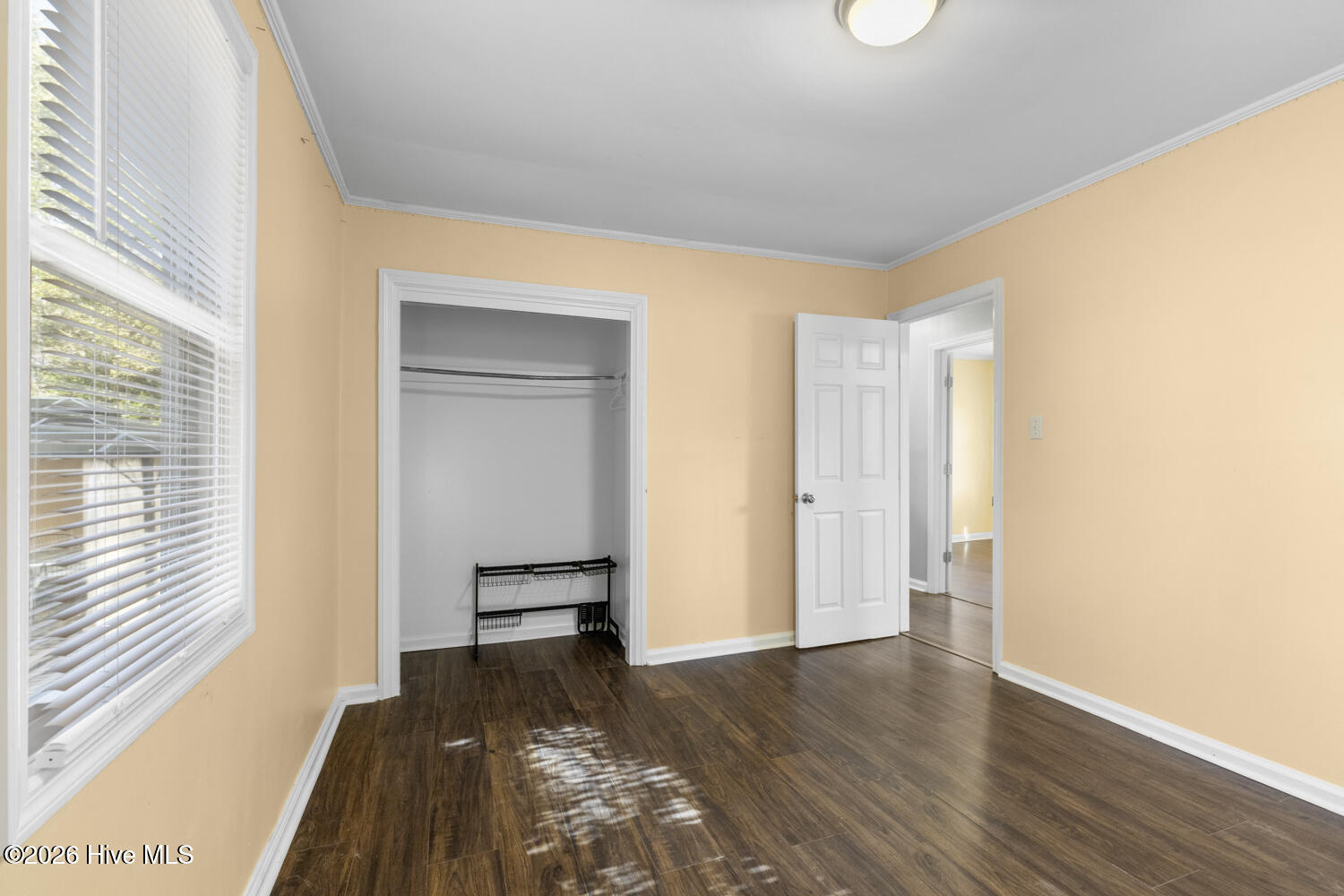 100545844 | Photo 24