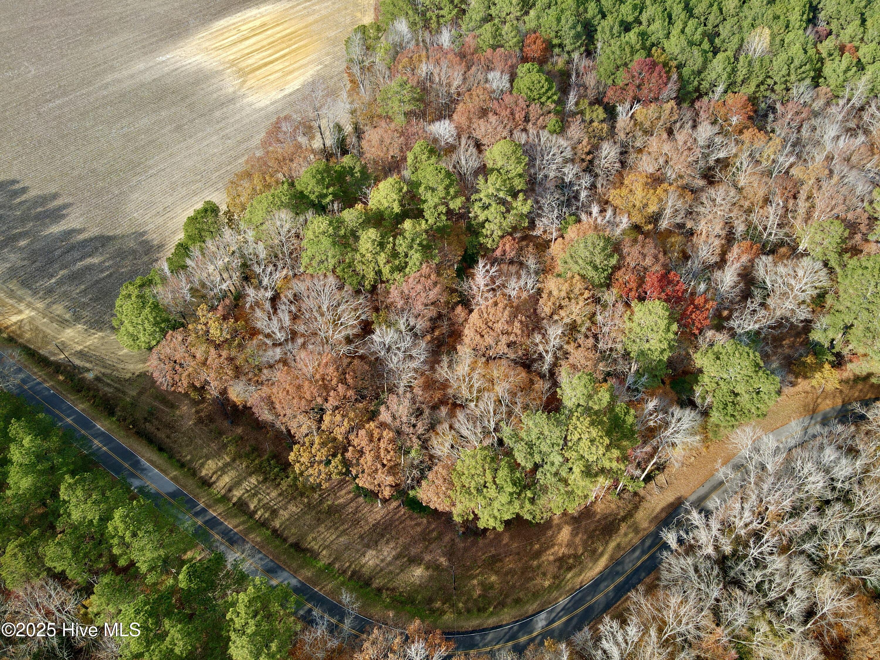 Homes for sale in Williamston, NC | 0 Williams Rd, Williamston, NC 27892 | MLS# 100543369