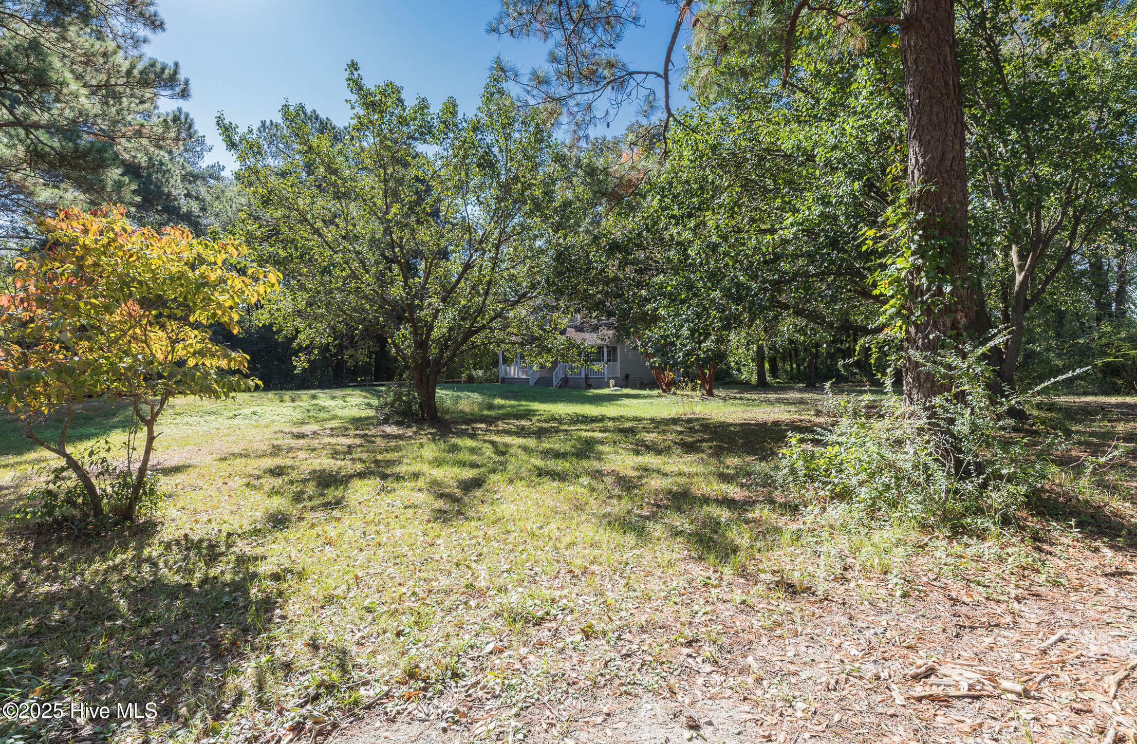 100537382 | Photo 32