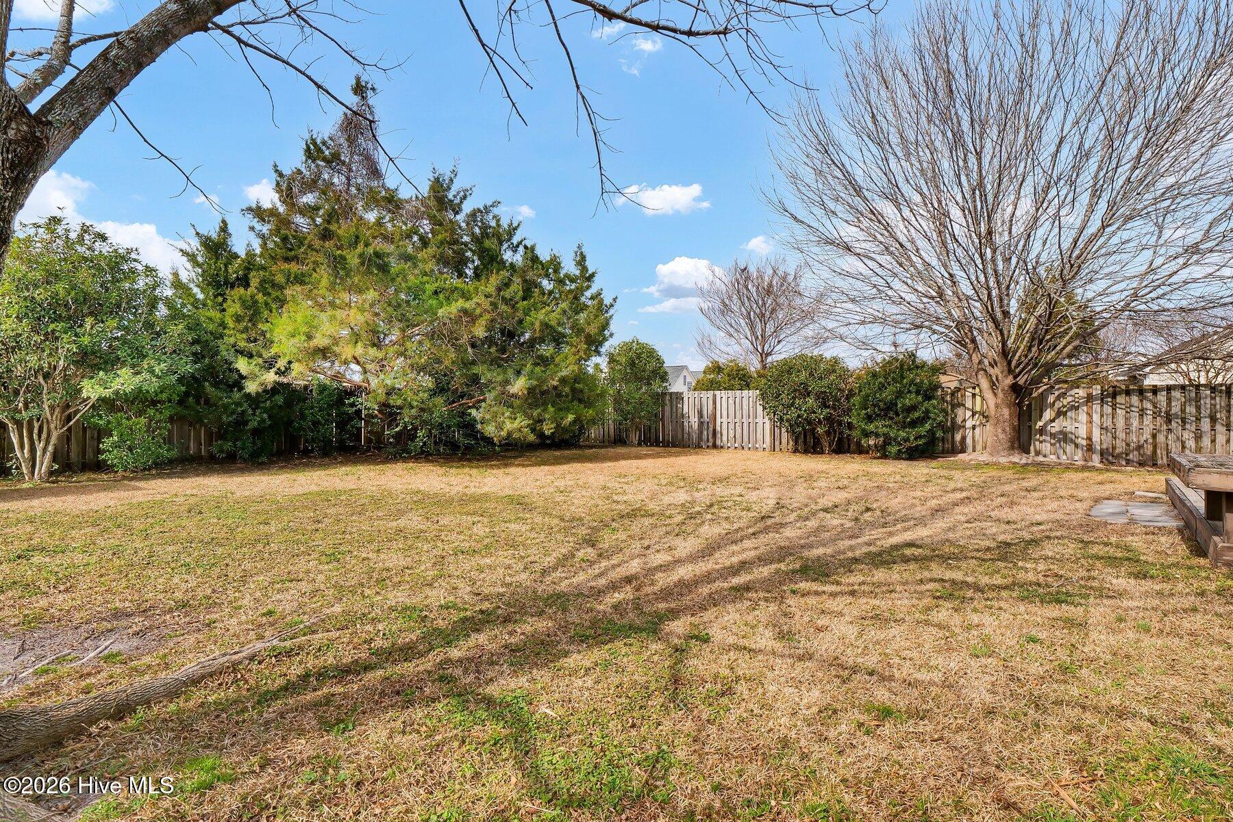 100552455 | Photo 24