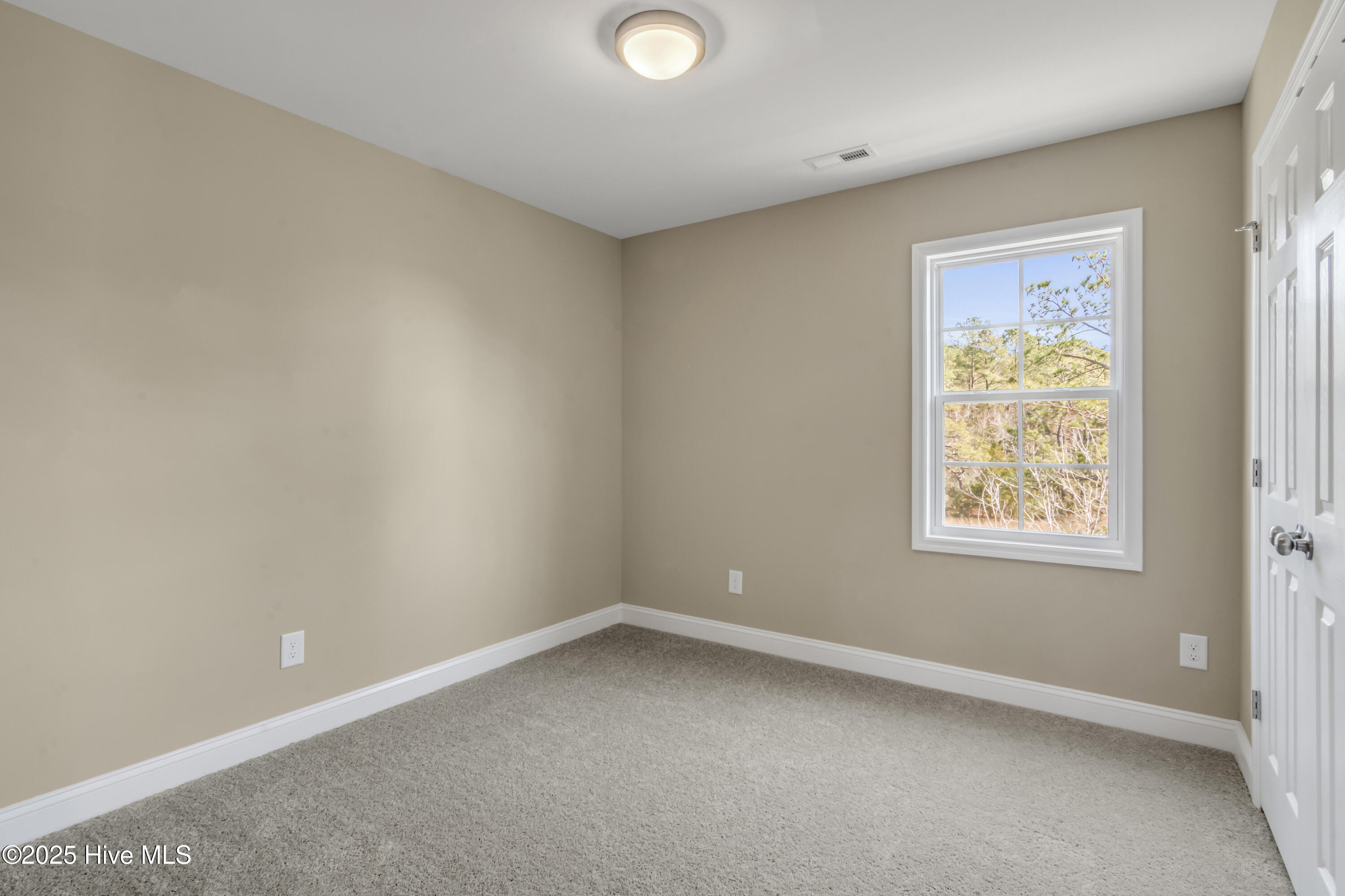 100566089 | Photo 30