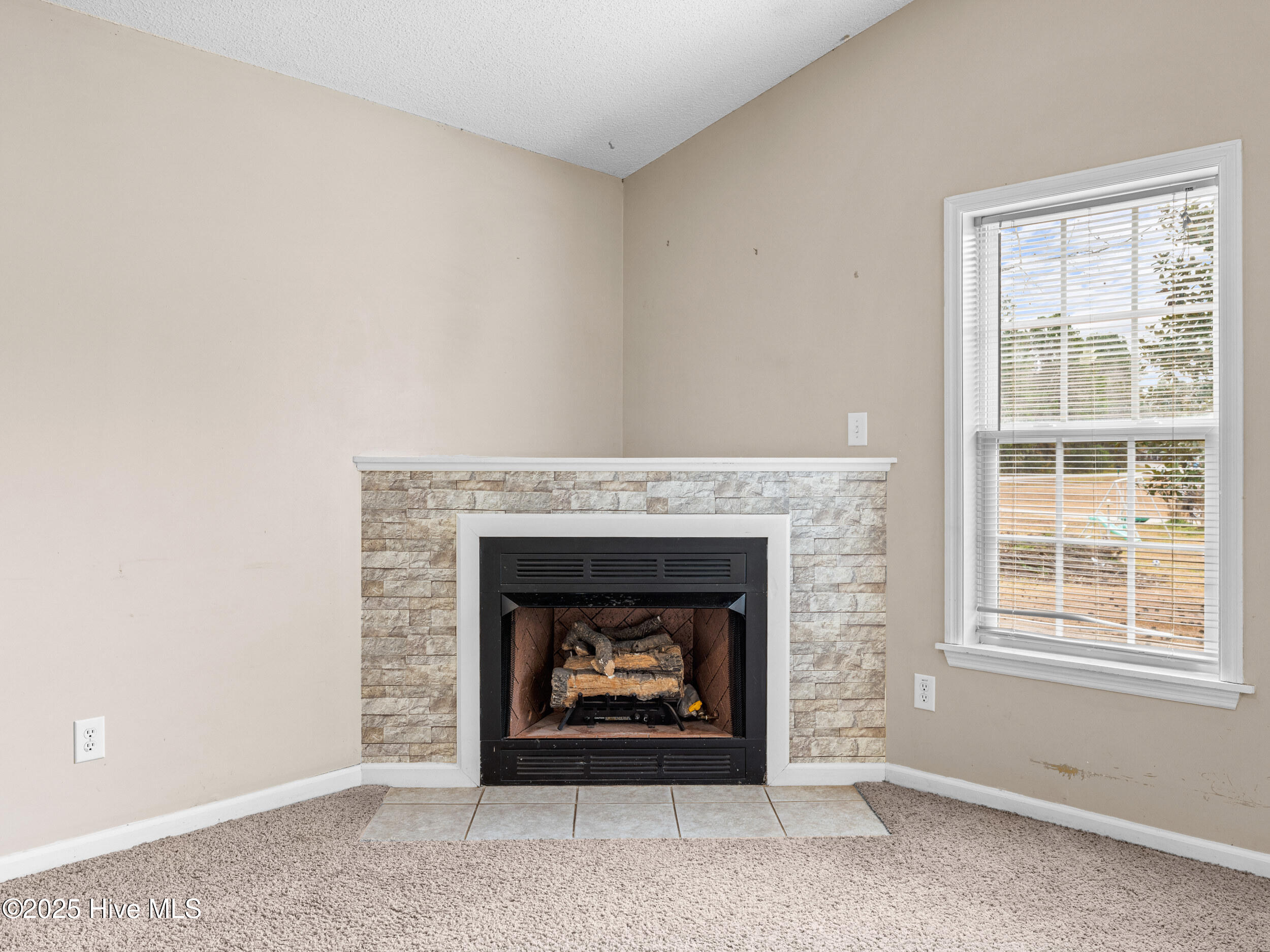 100546613 | Photo 10