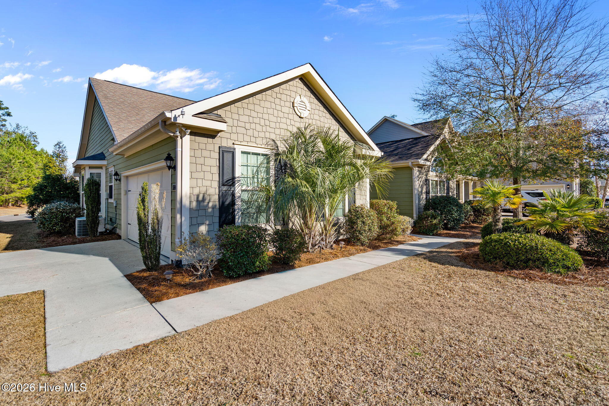 100554363 | Photo 78