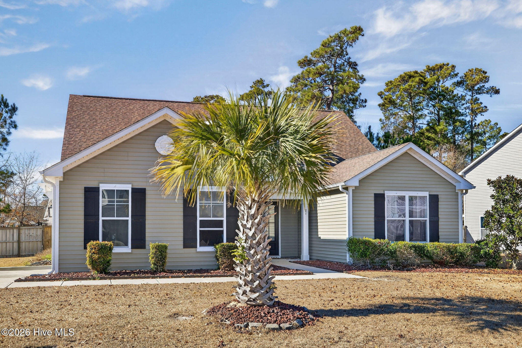 100547189 | Photo 67