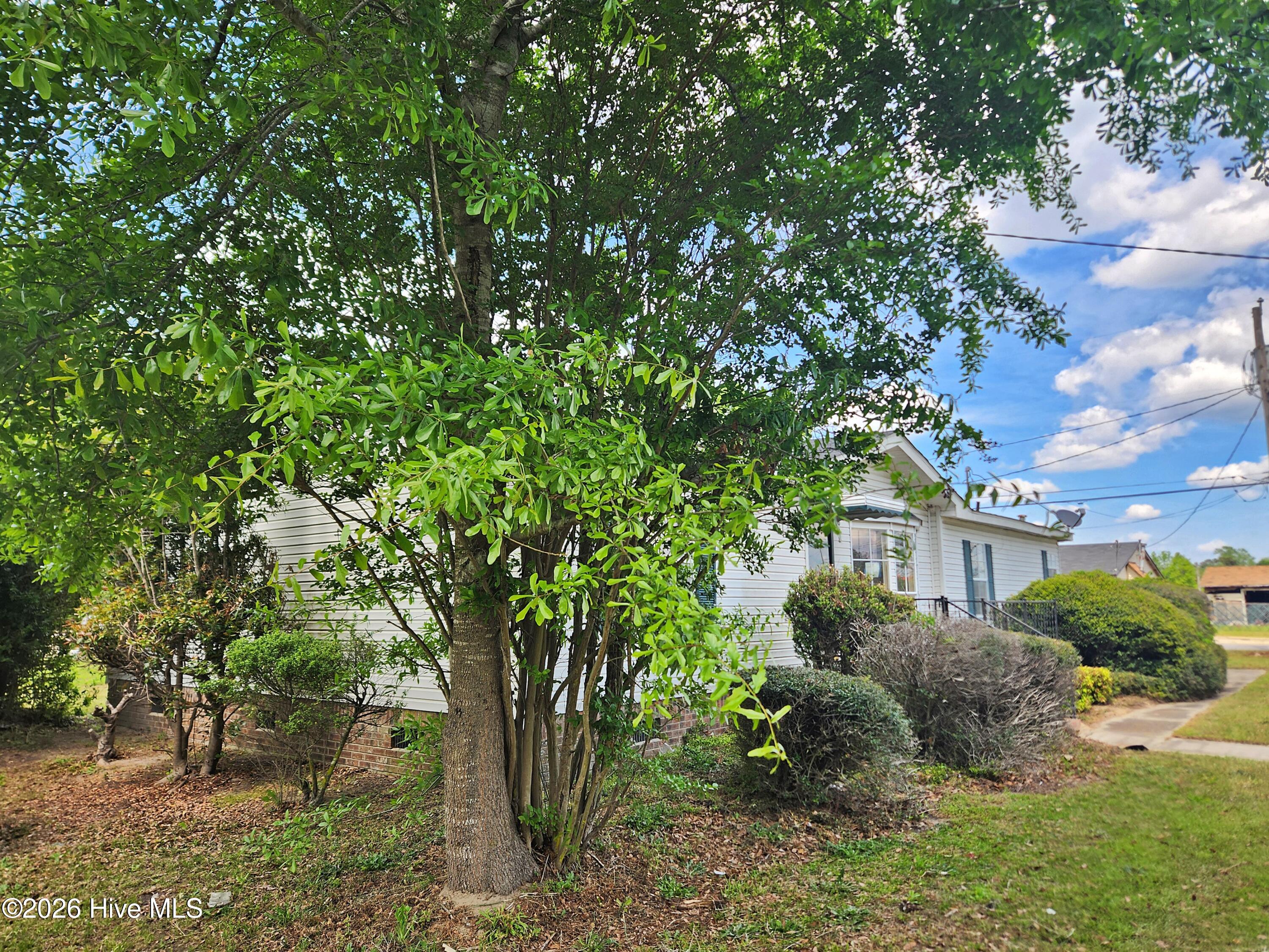 100566960 | Photo 31