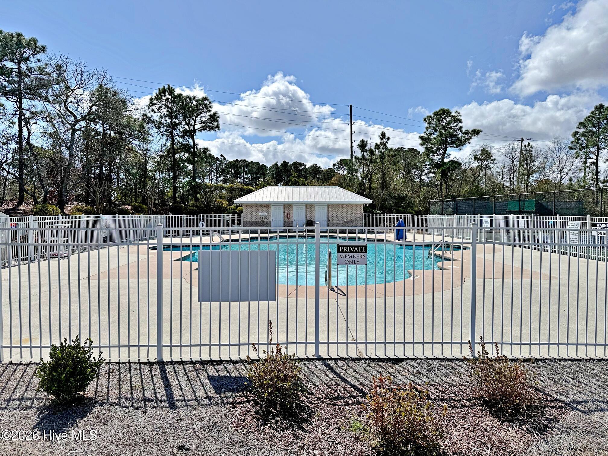 100537171 | Photo 29