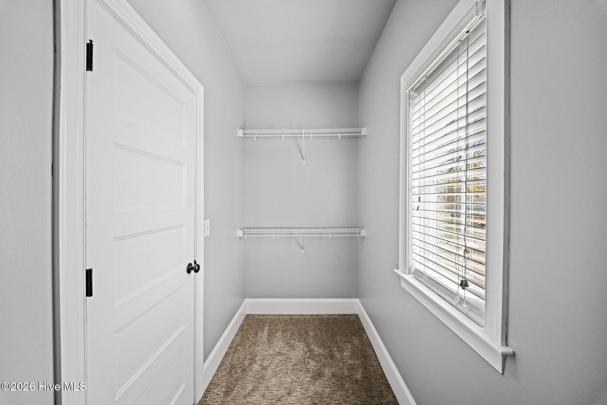 100565023 | Photo 23