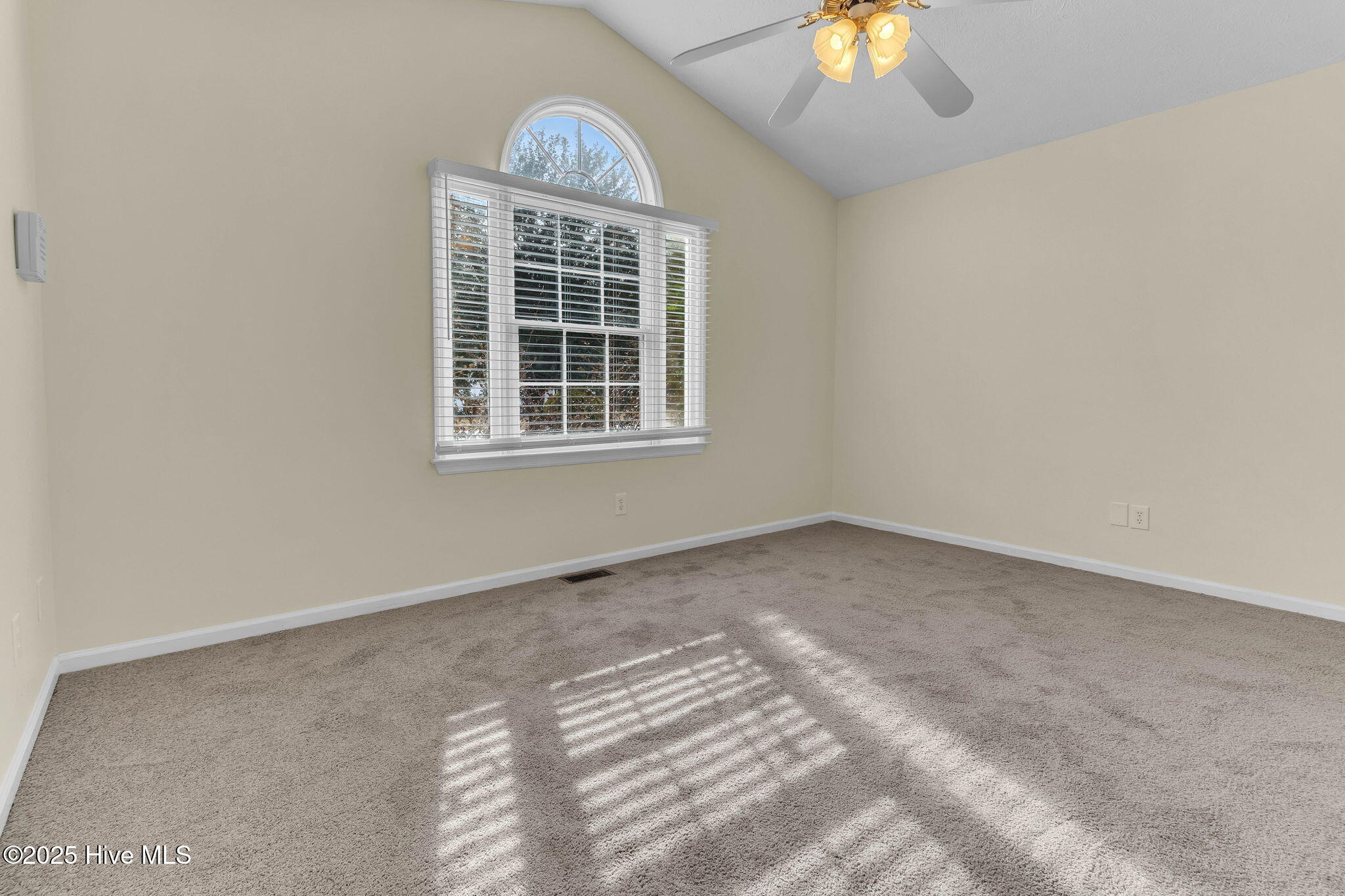 100546241 | Photo 16