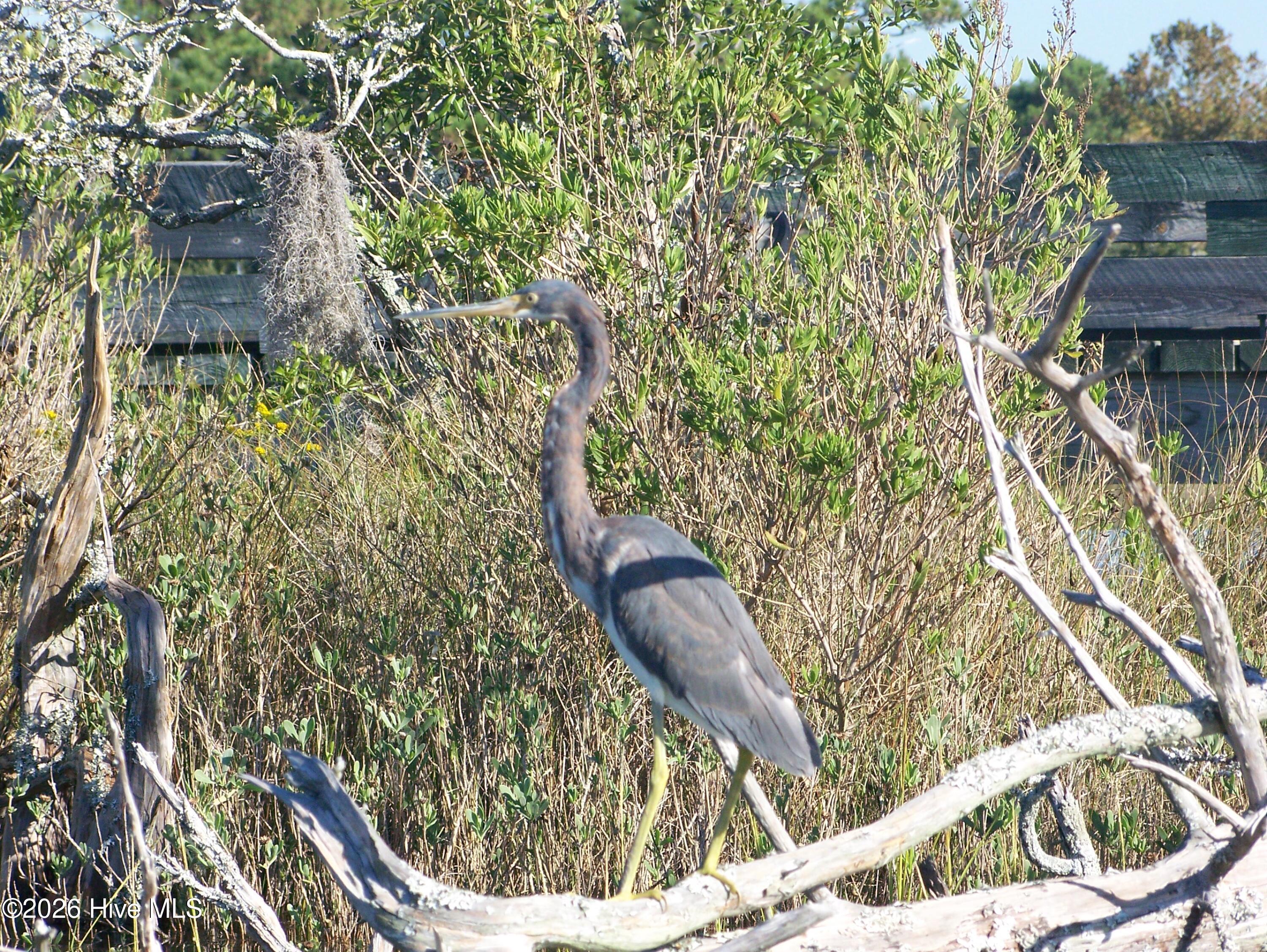 100559715 | Photo 85