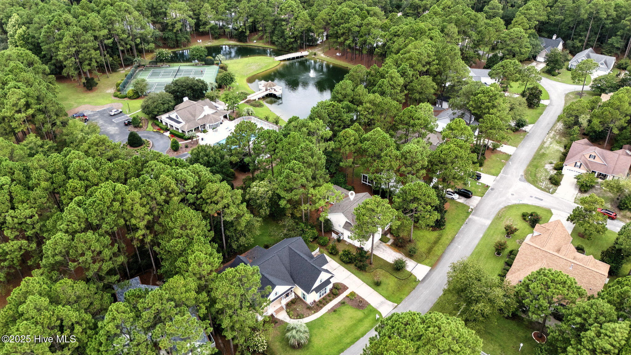 100523616 | Photo 44