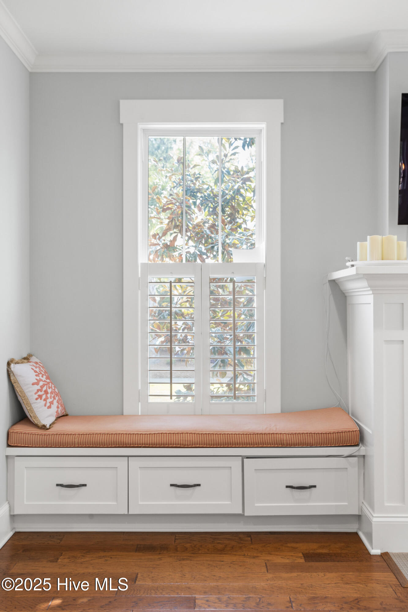 100503358 | Photo 13