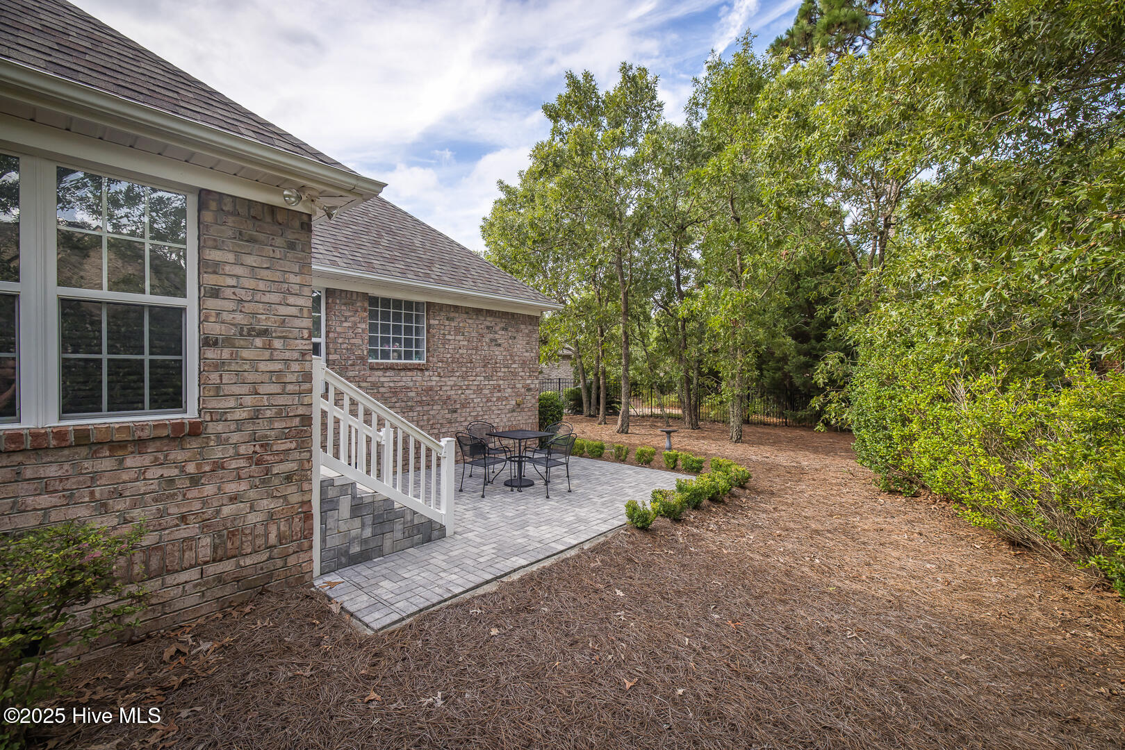 100538181 | Photo 51