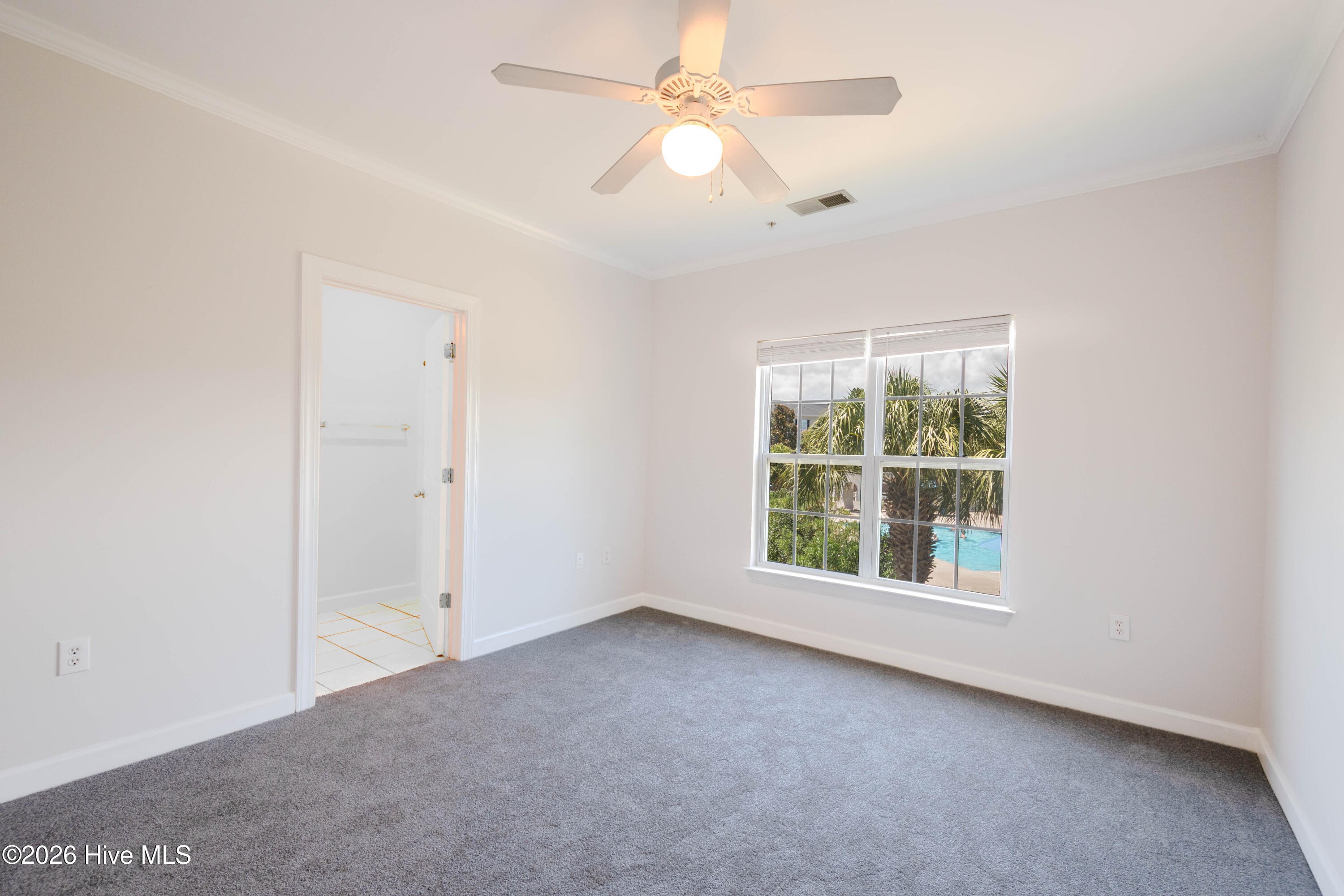 100566741 | Photo 41