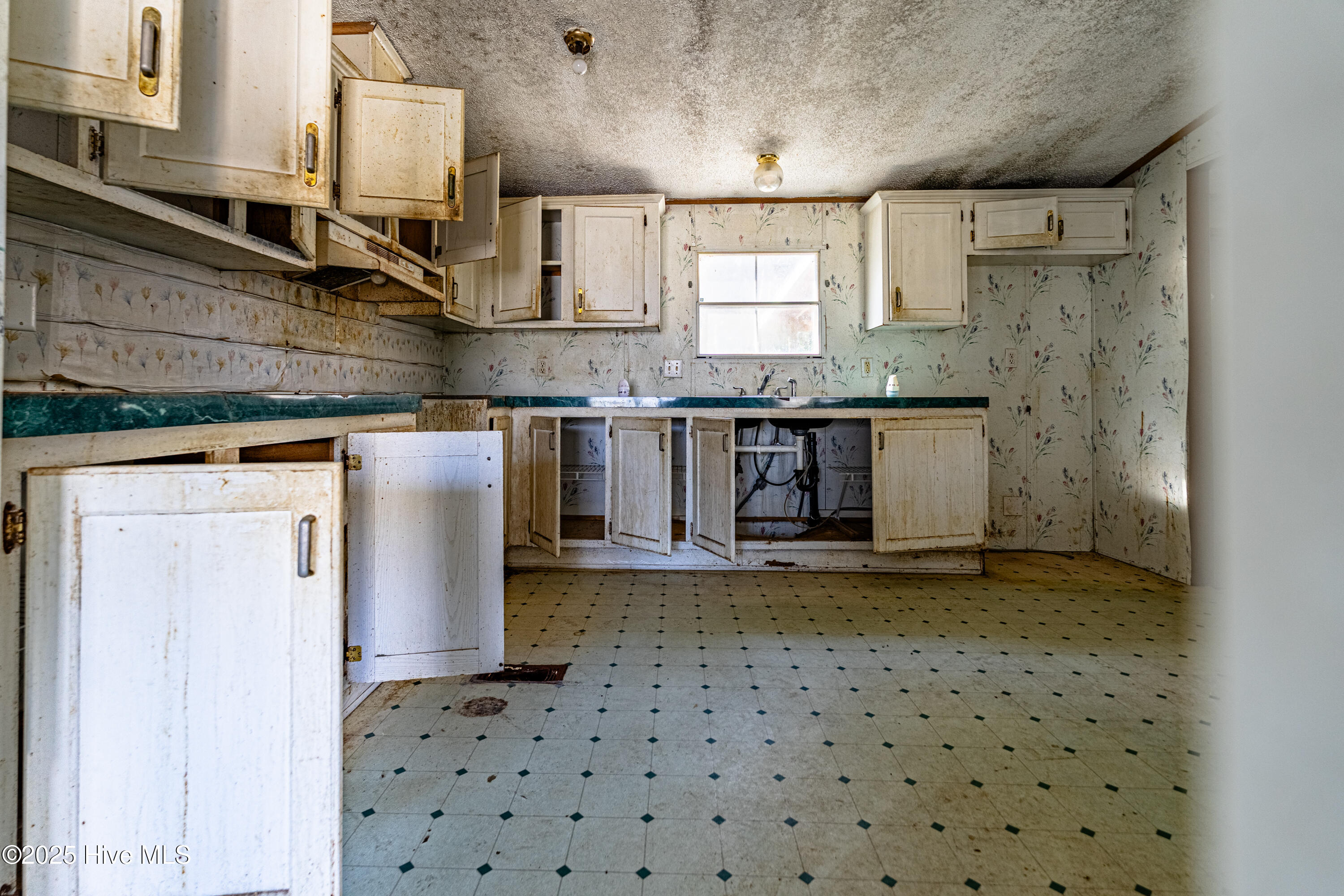 100545698 | Photo 14