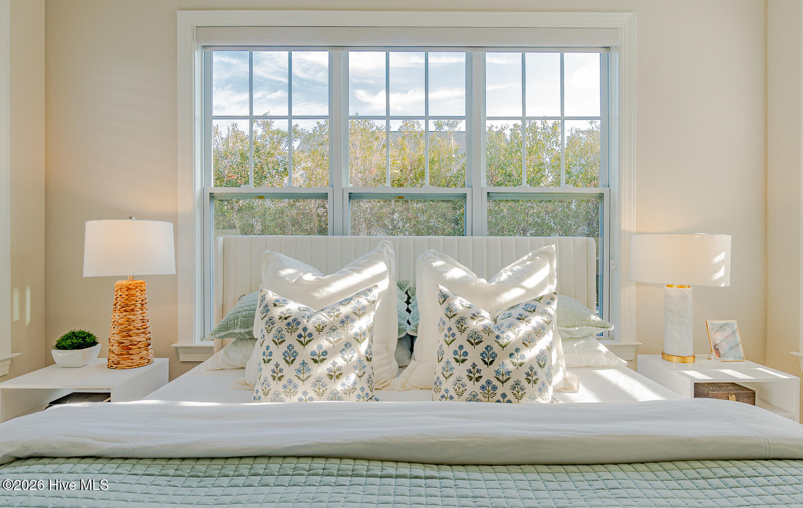 100555037 | Photo 32