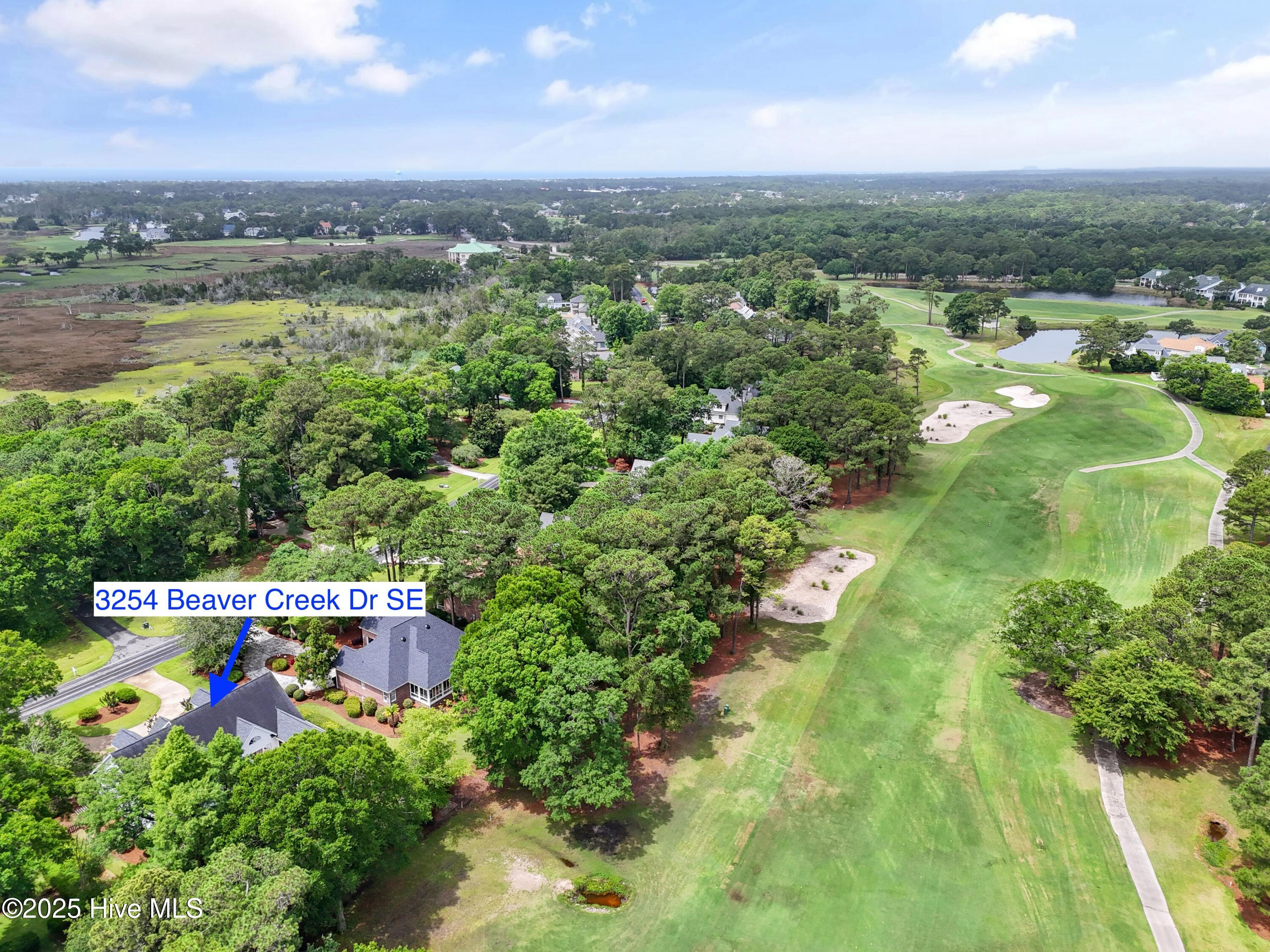 100512270 | Photo 56