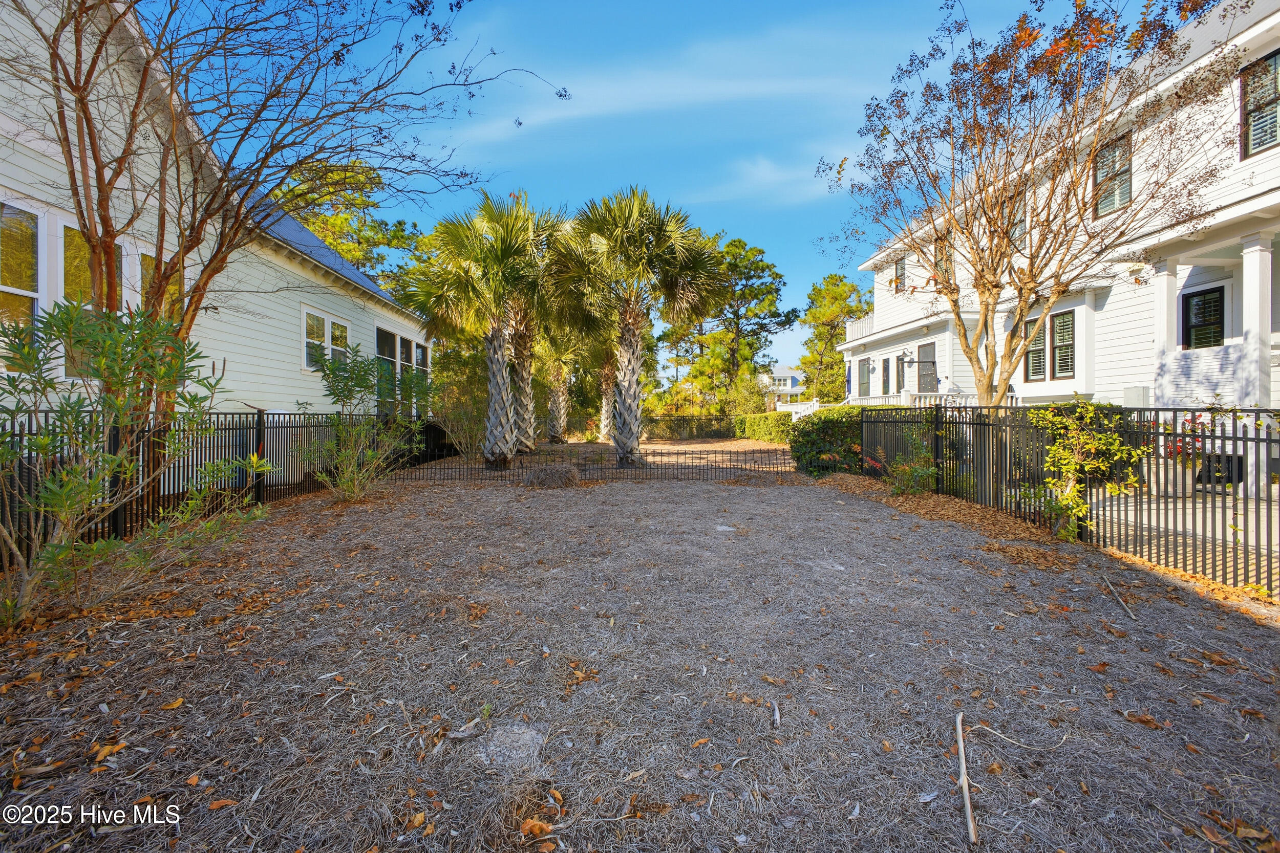 100543179 | Photo 65