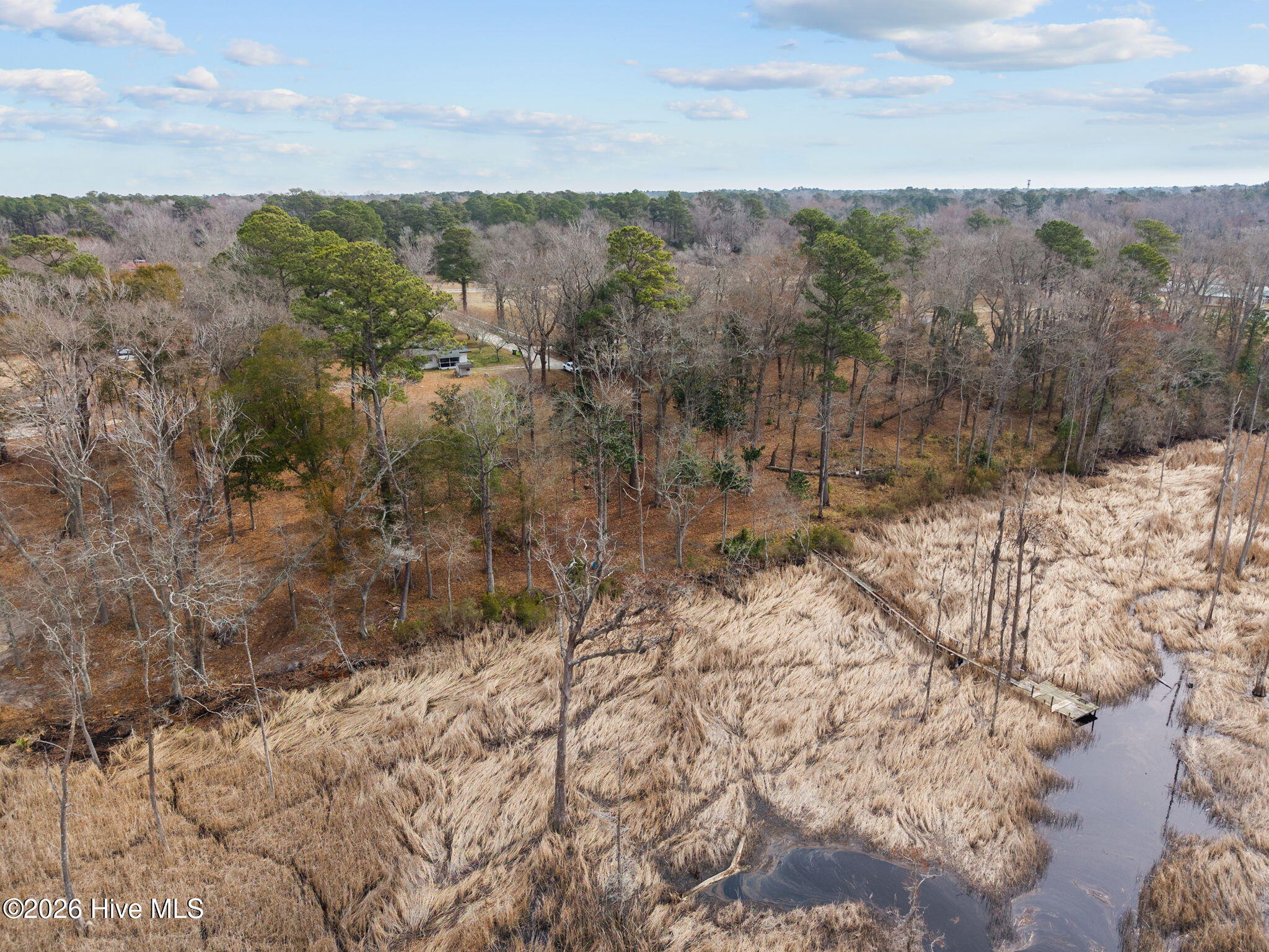 100557374 | Photo 12