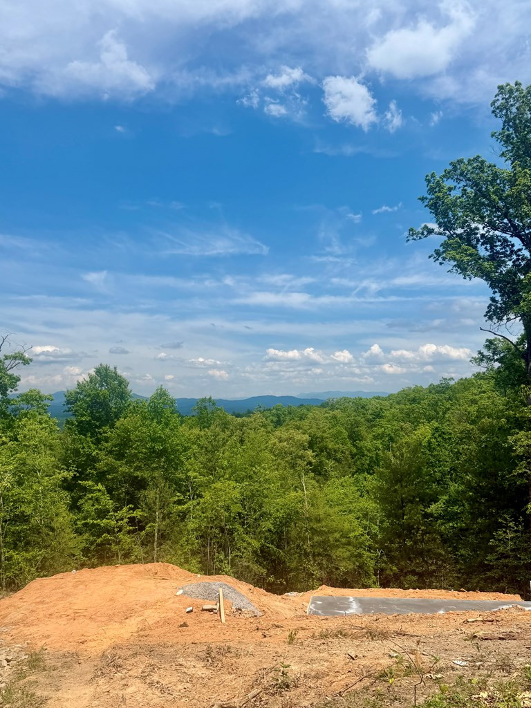50 Lake Wood Road, Murphy, NC 28906 Listing Photo  5