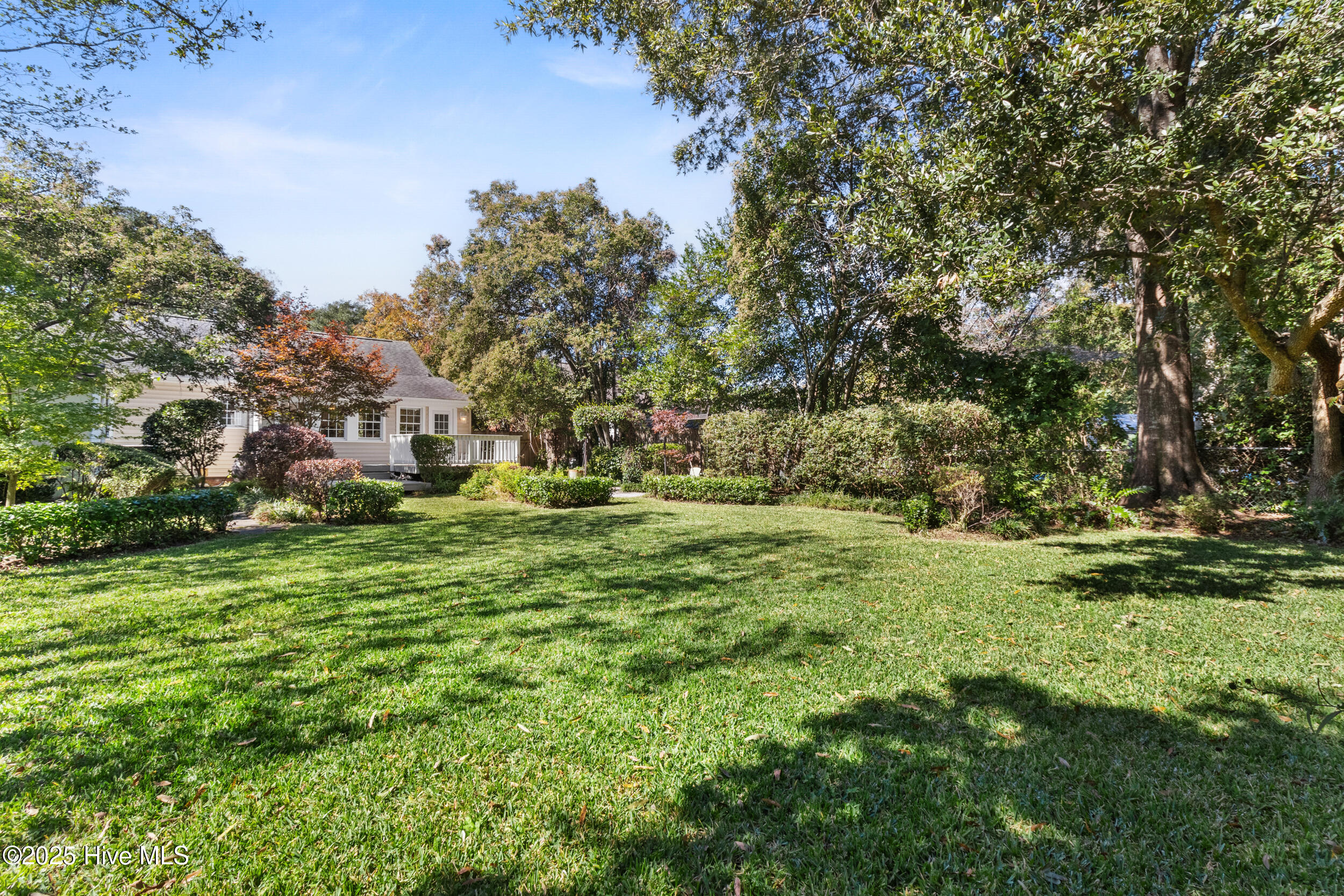 100538519 | Photo 25