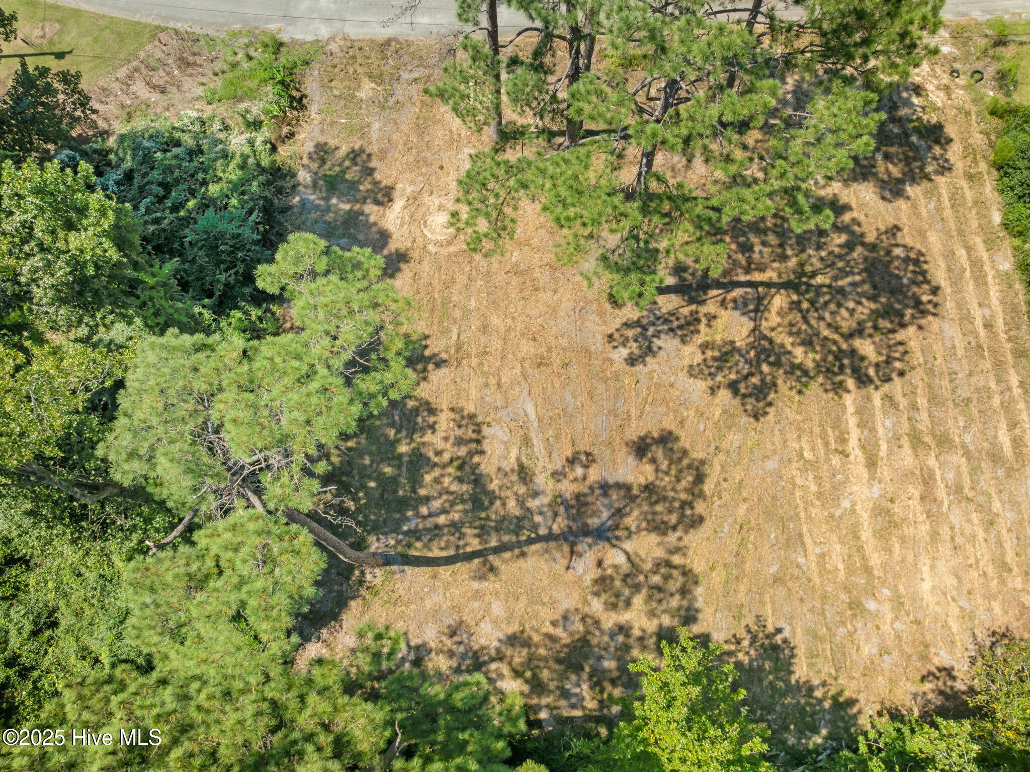 100529346 | Photo 16