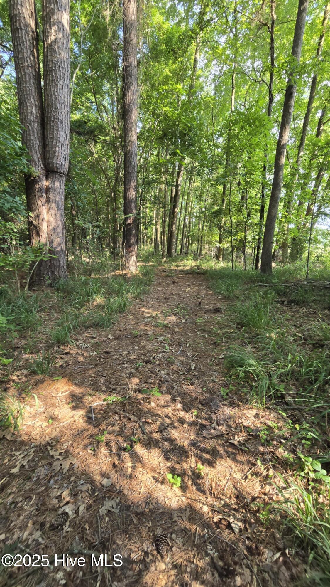 100522277 | Photo 32