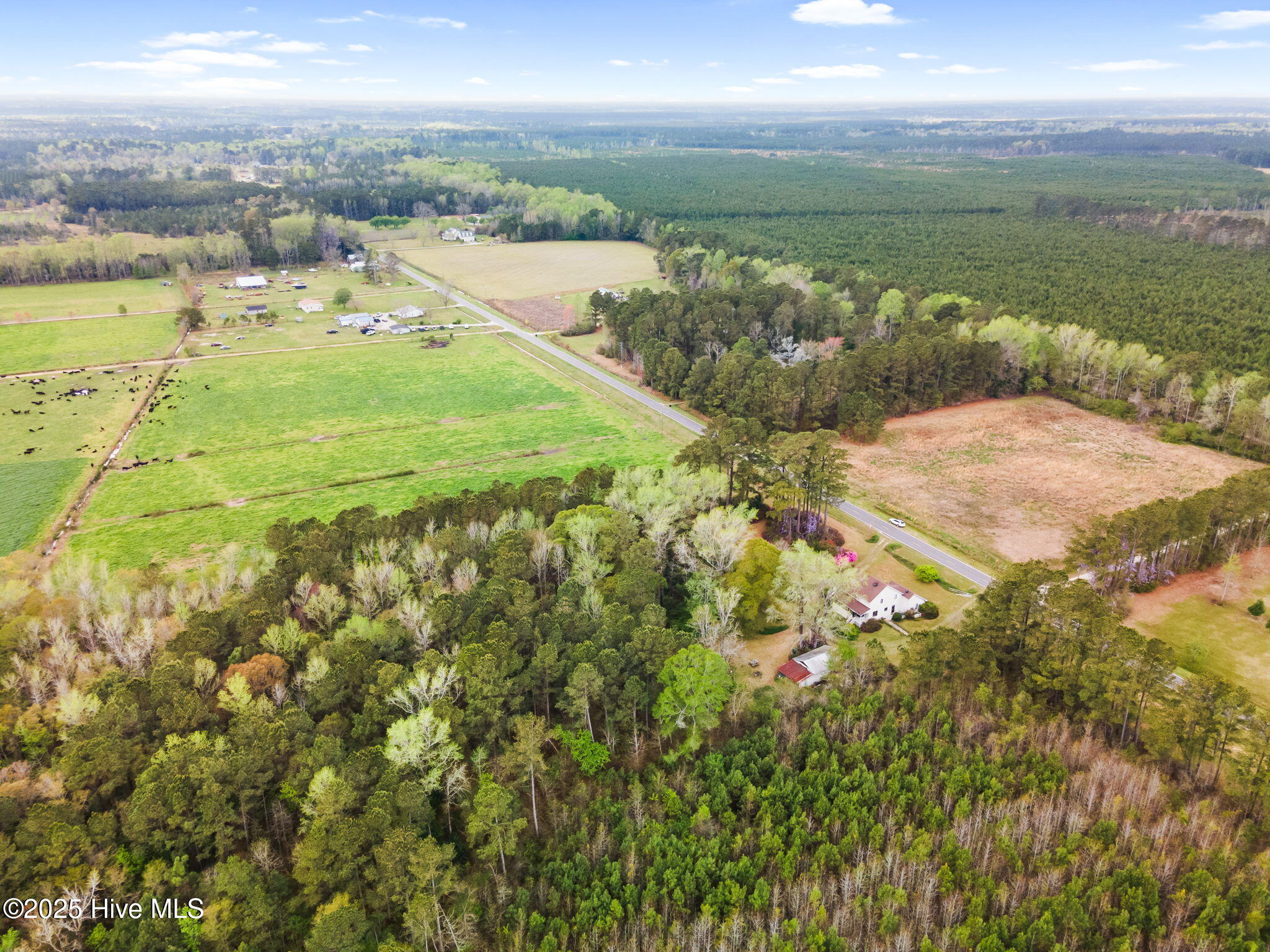 100557688 | Photo 48