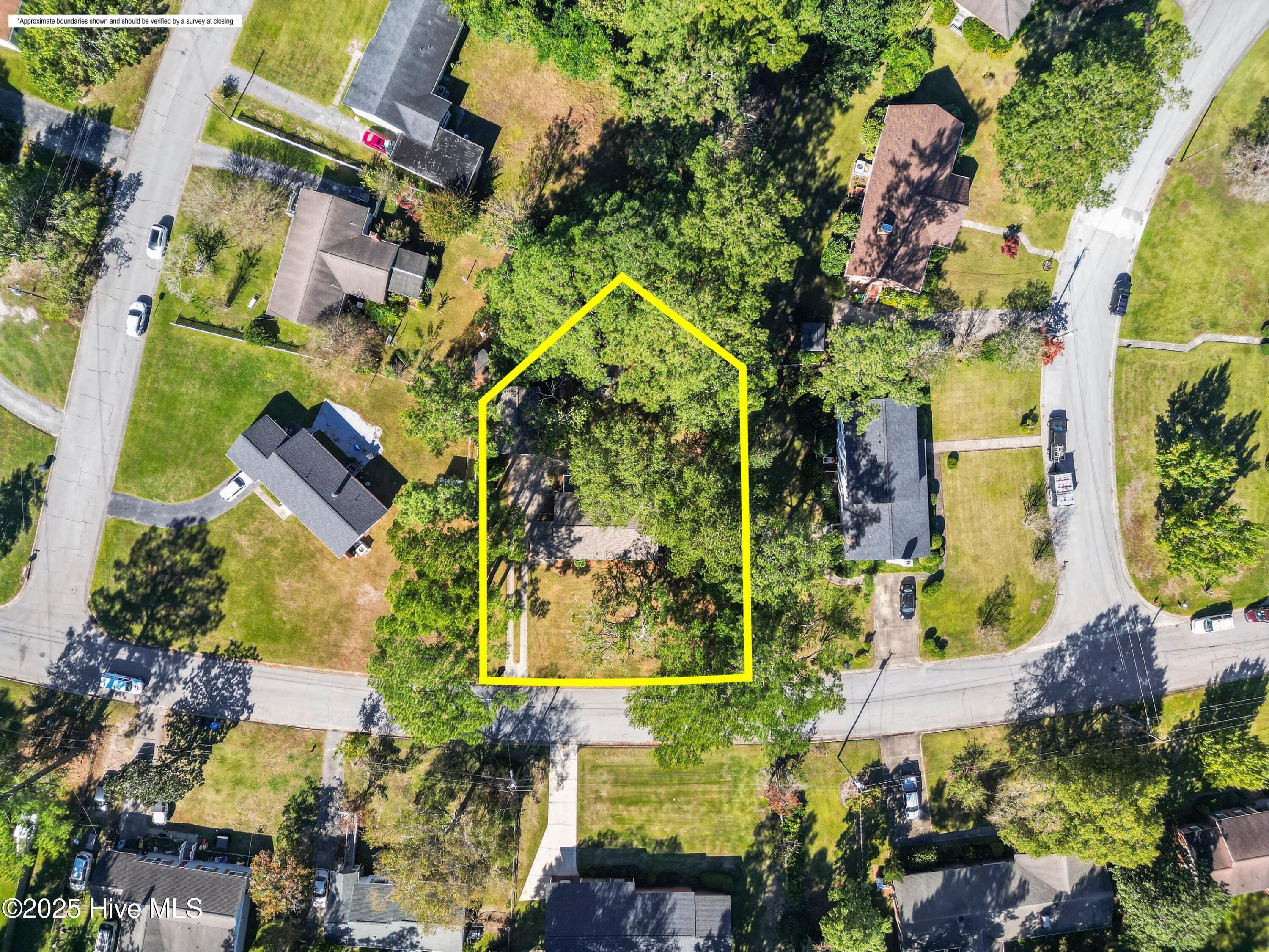 100537321 | Photo 36