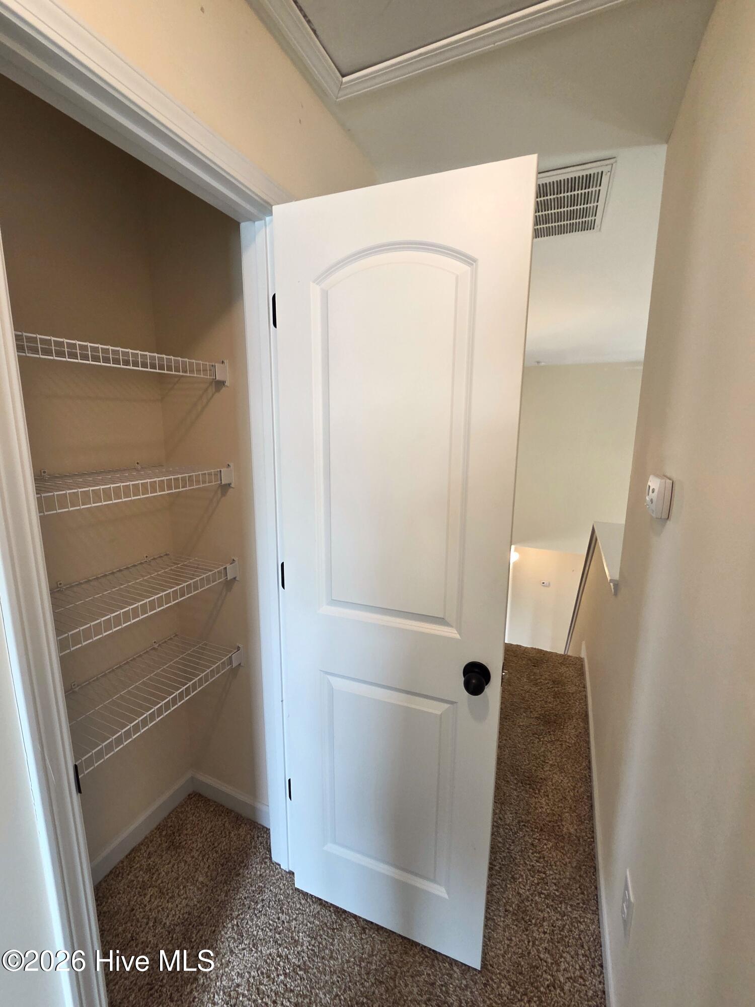 100527843 | Photo 67