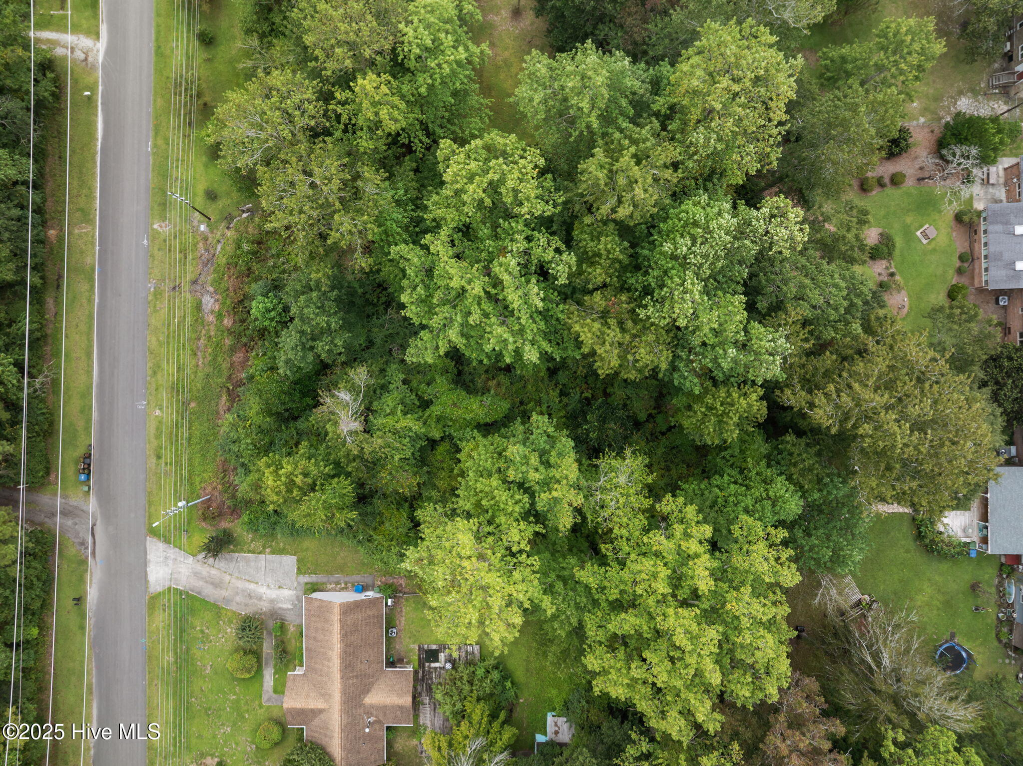 100529798 | Photo 13