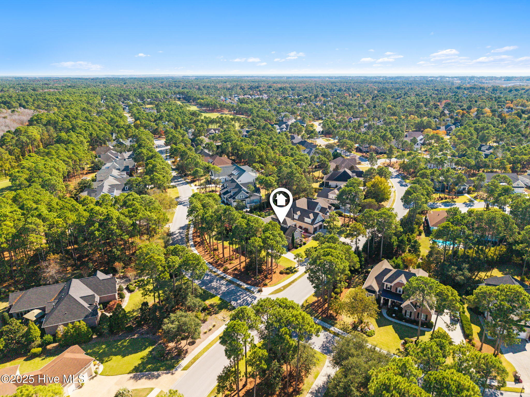 100540302 | Photo 80