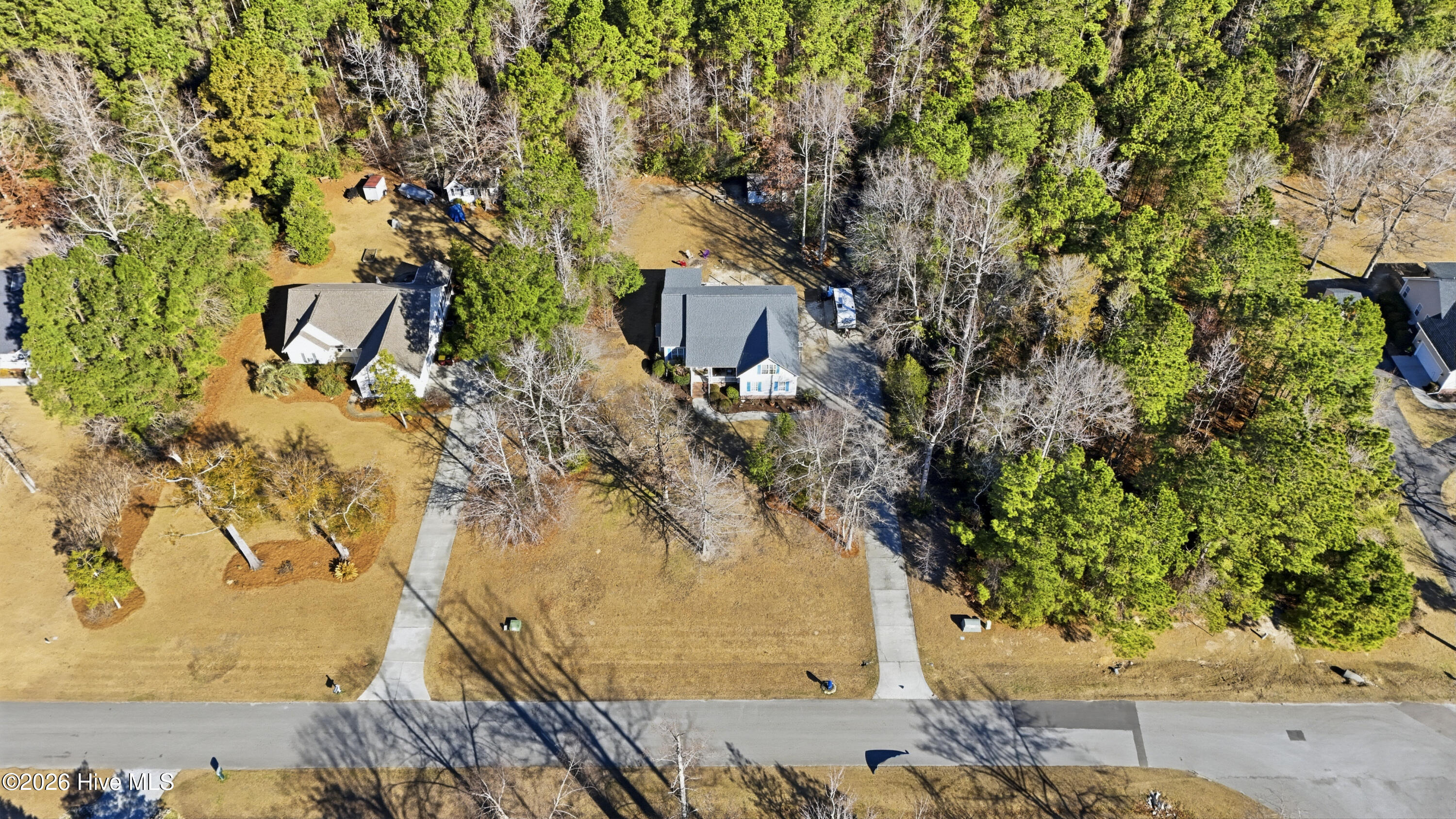 100562137 | Photo 37